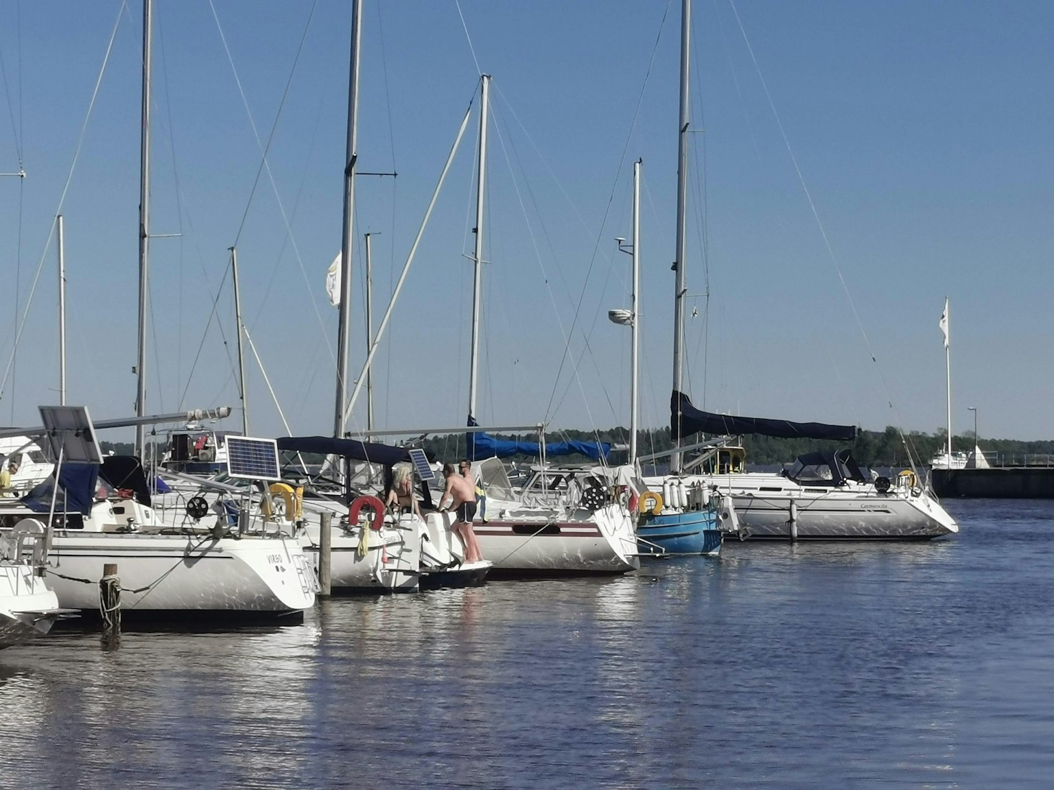 Una scena di porto serena con più yacht ormeggiati lungo acque calme