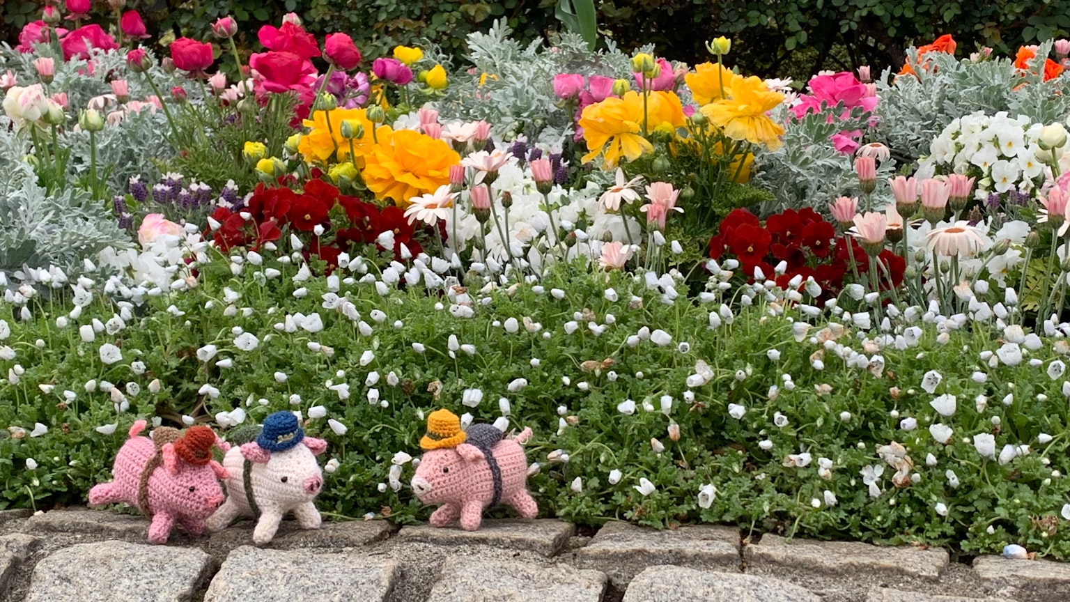 Carini maialini di peluche davanti a fiori colorati