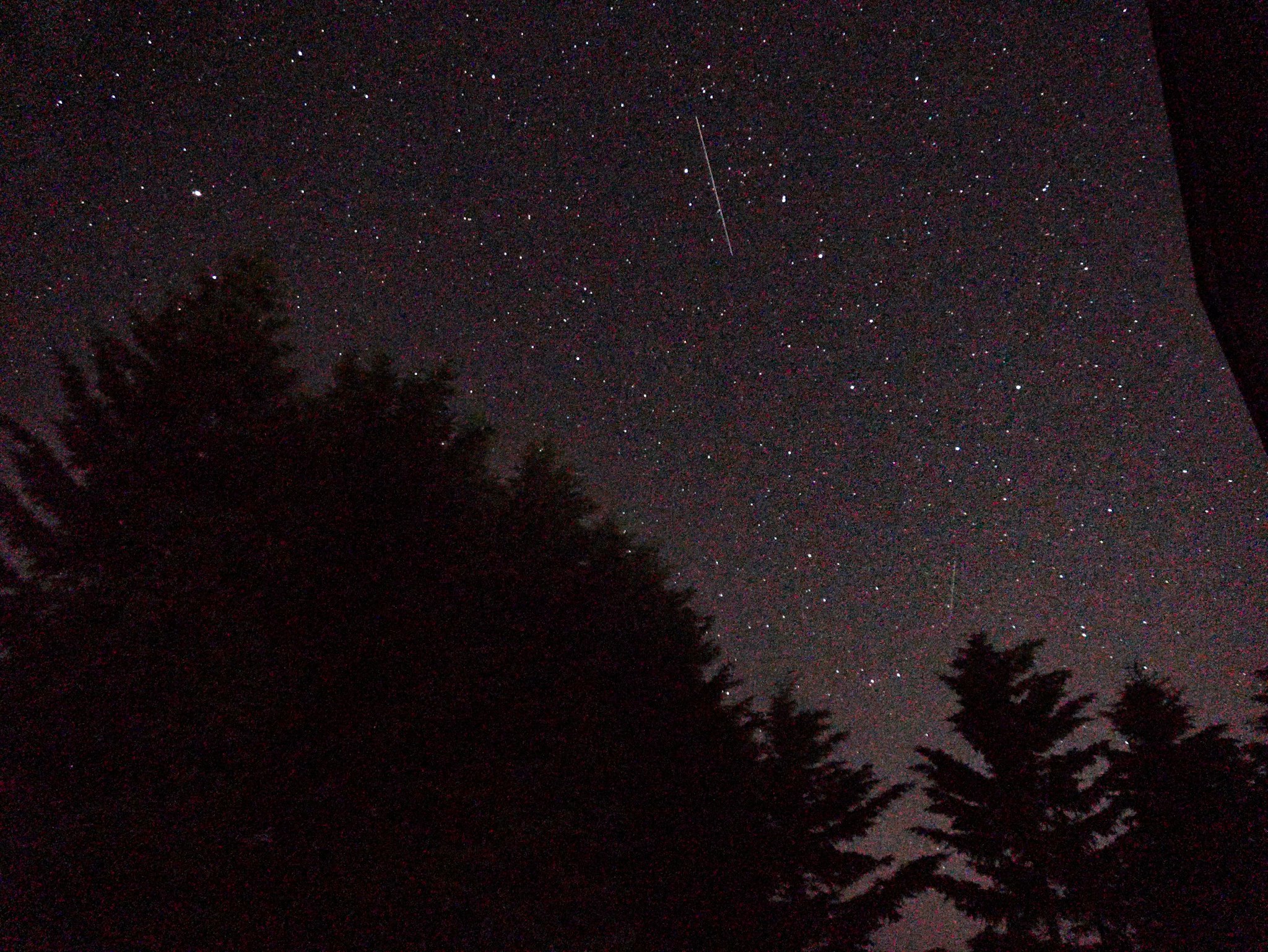night sky with shooting stars and a forest silhouette