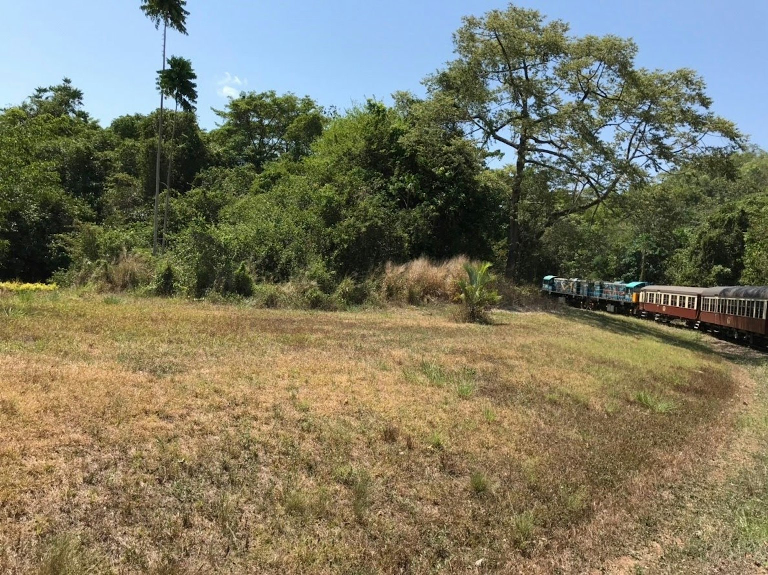 火車沿著茂盛樹木和乾燥草地的景觀行駛