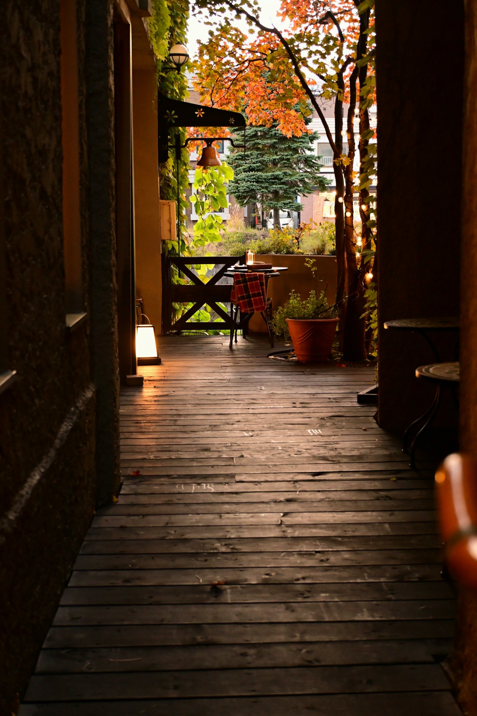 秋の色合いの植物がある狭い通路の写真