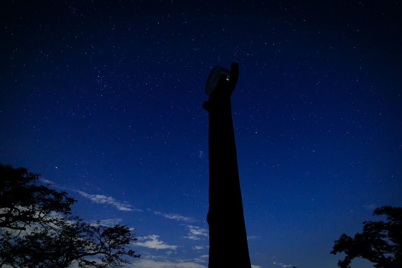 夜空に輝く星々とシルエットの木の柱