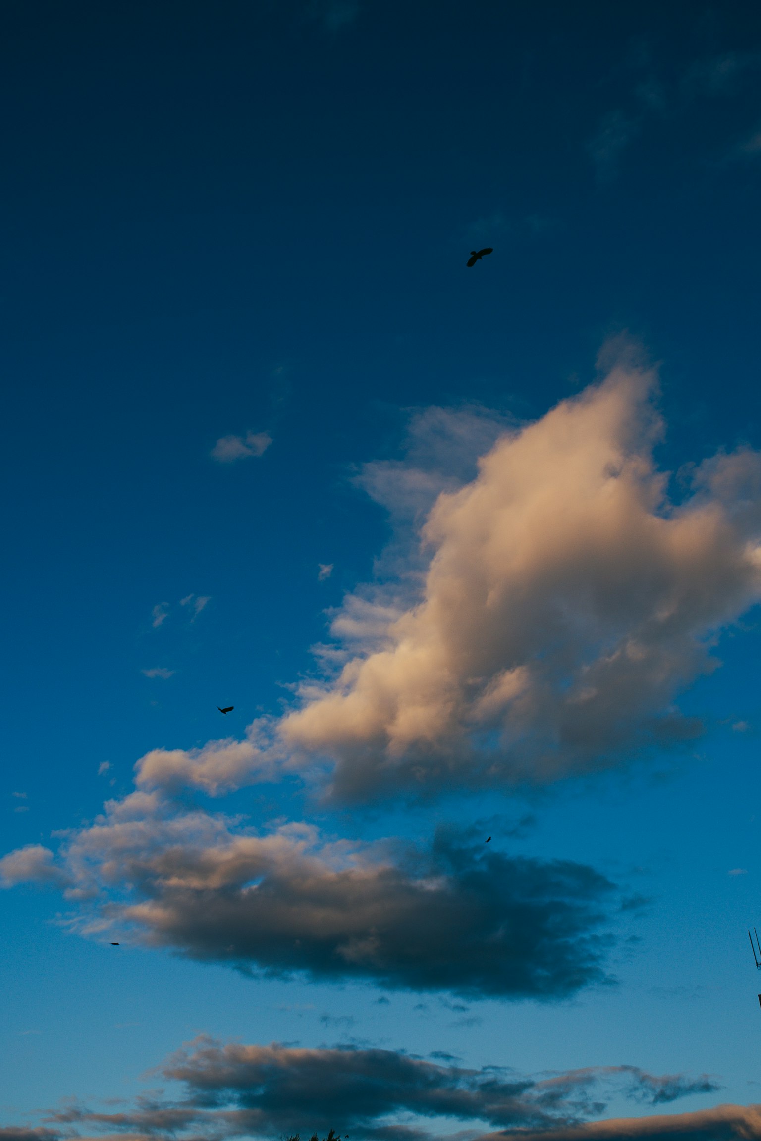Weiße Wolken, die in einem blauen Himmel mit einigen dünnen Wolken schweben
