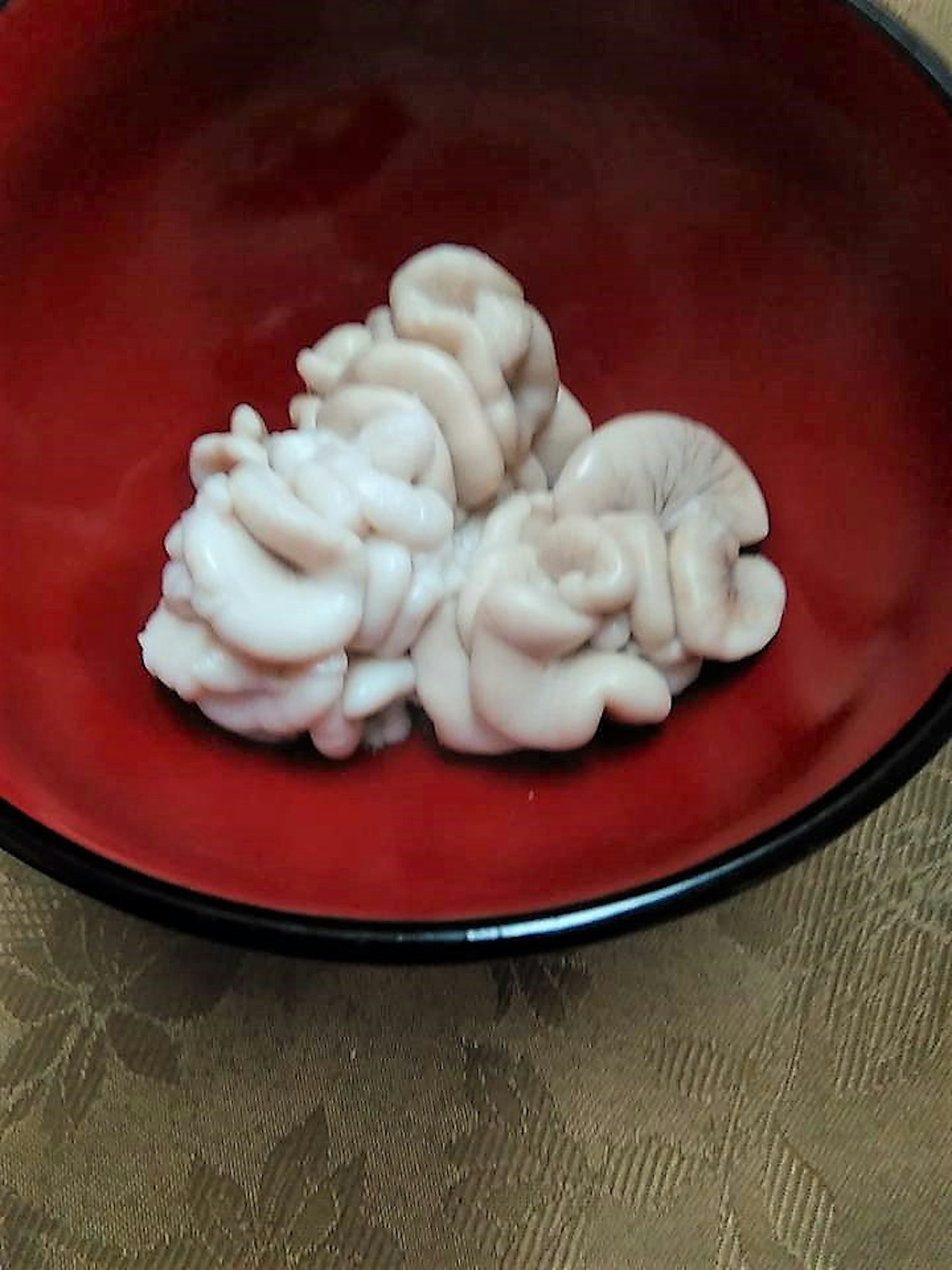 A cluster of white food item in a red bowl