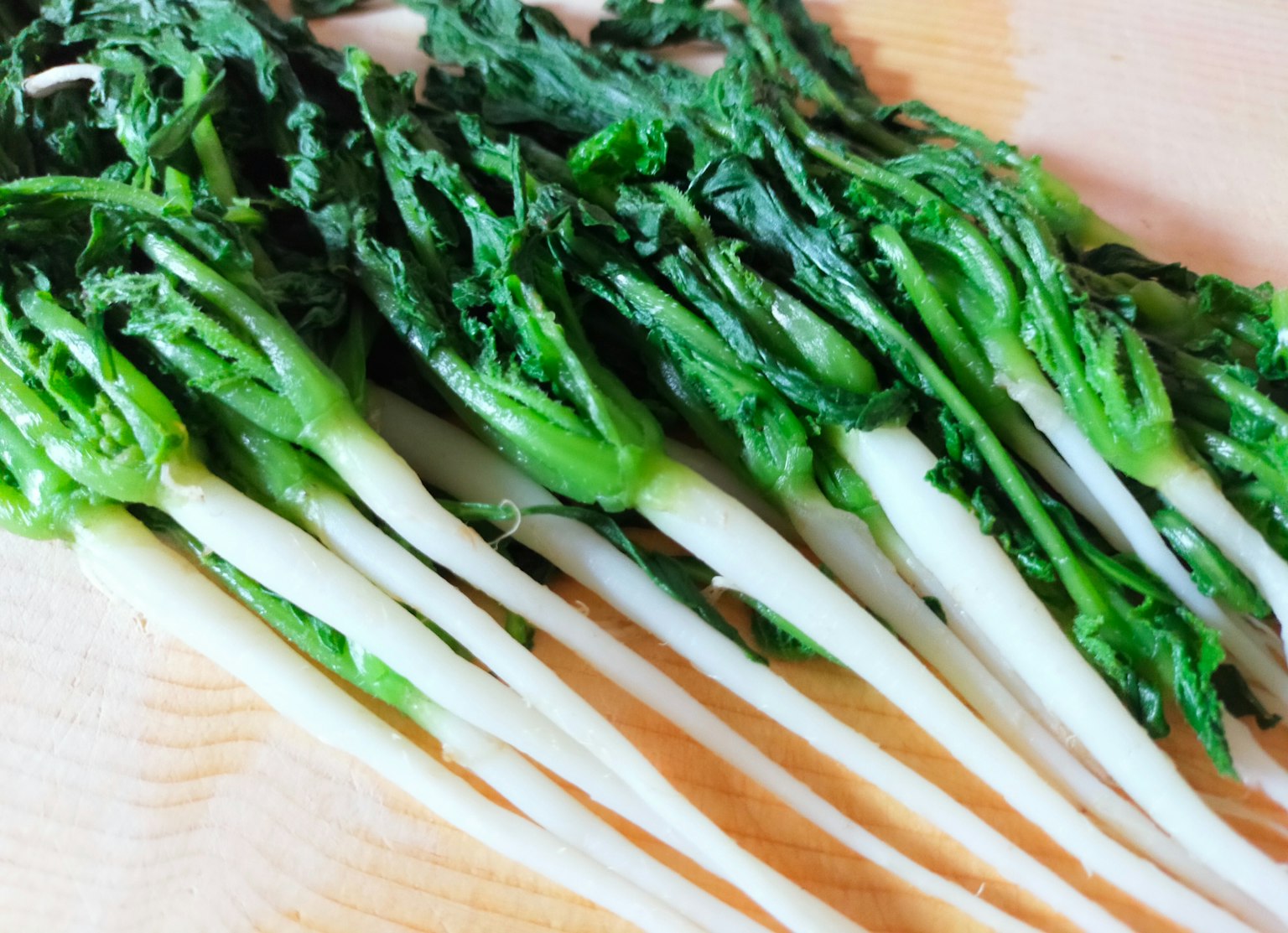 A bunch of fresh radishes with green leaves