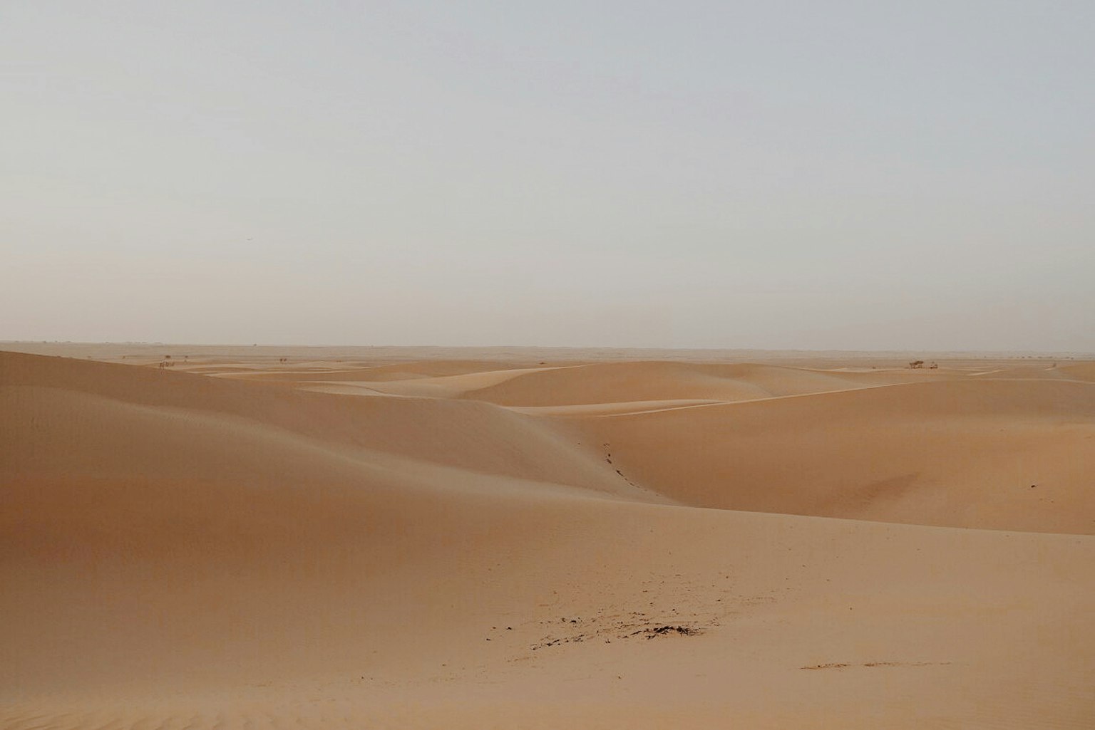 Expansive sand dune landscape with soft hues of sand