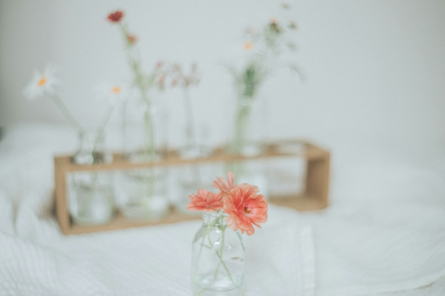 Un pequeño jarrón de vidrio con una flor naranja en primer plano rodeado de varias flores en recipientes de vidrio