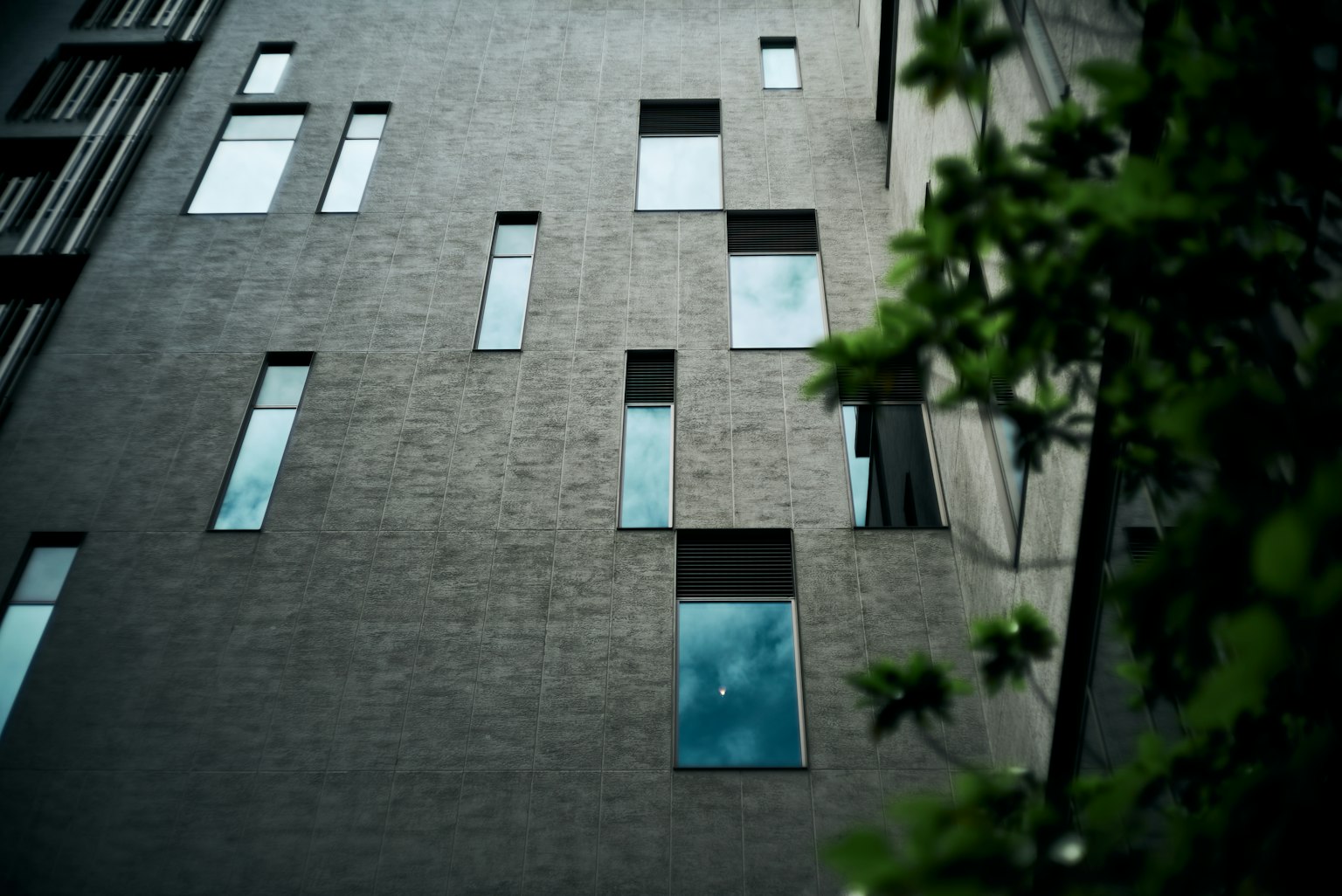Moderne Gebäude mit unregelmäßiger Fensteranordnung und grünen Blättern