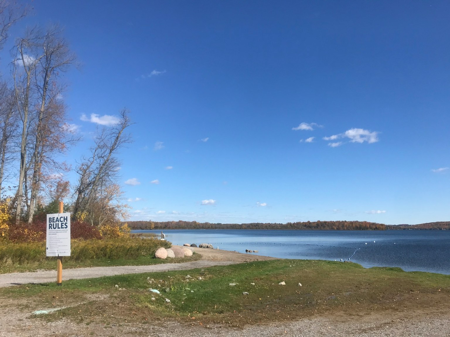 Vista serena del lago con cielo blu erba e segnale visibili