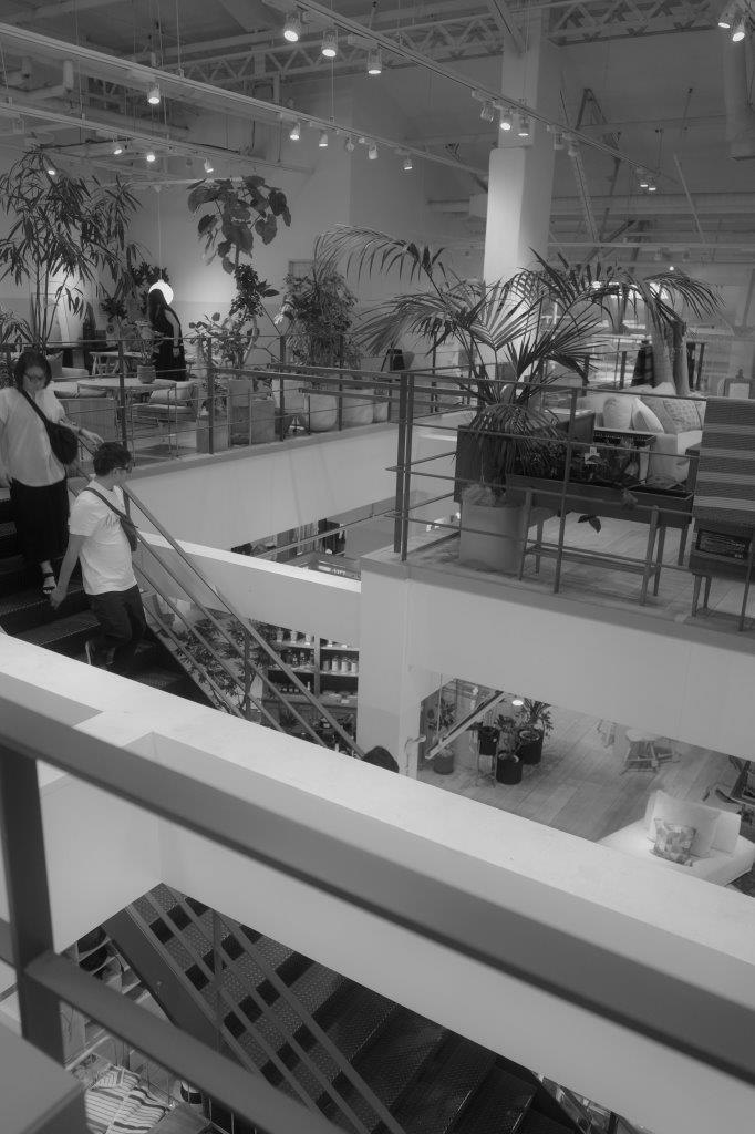 Espace d’exposition intérieur en atrium avec passerelle entourée de plantes