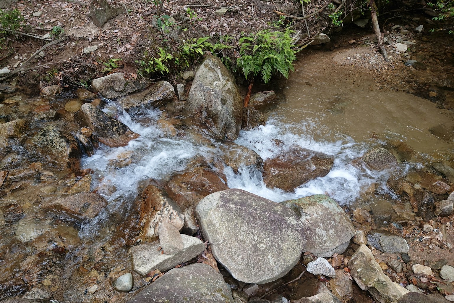 自然景观，溪水流过岩石和绿色植物