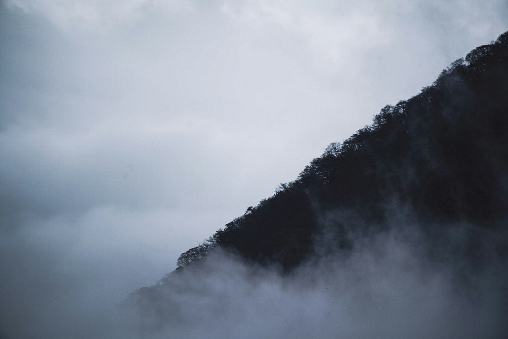 霧氣籠罩的山坡與雲層密佈的天空