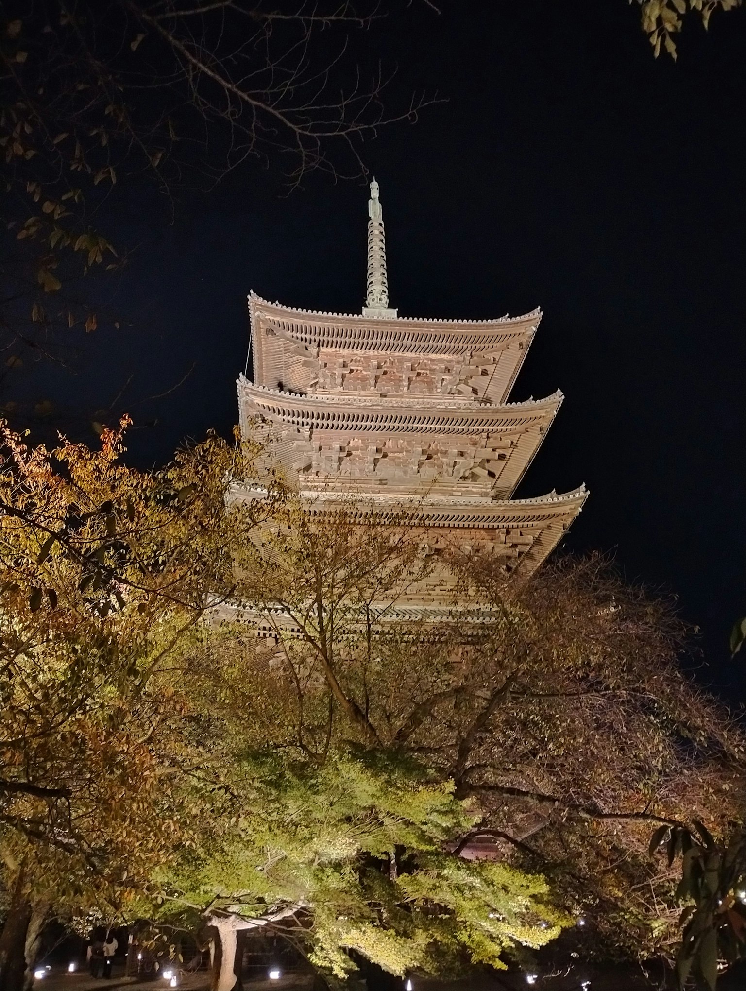 Beleuchtete fünfstöckige Pagode bei Nacht umgeben von Bäumen