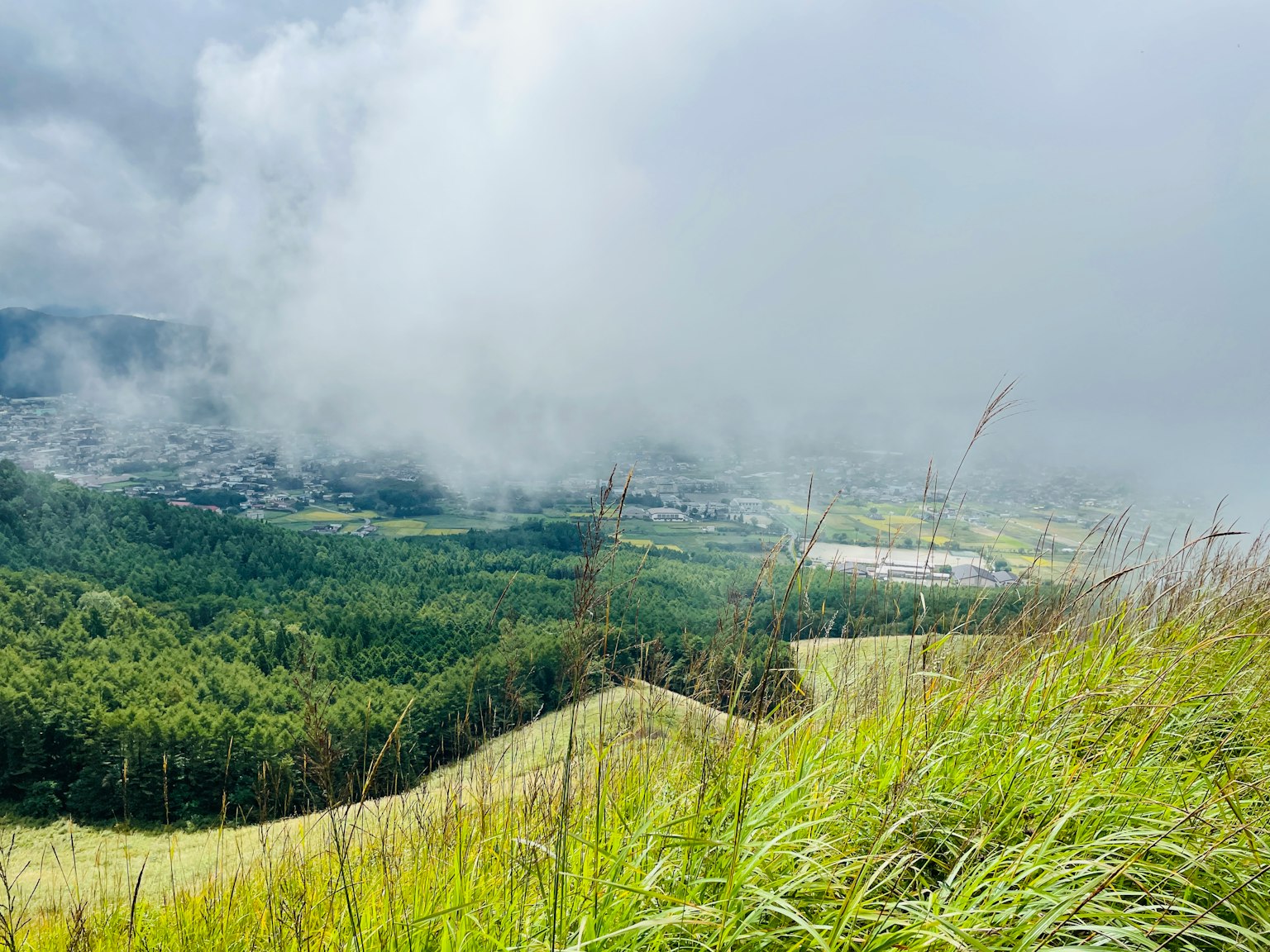 Foggy mountain landscape with green grassland