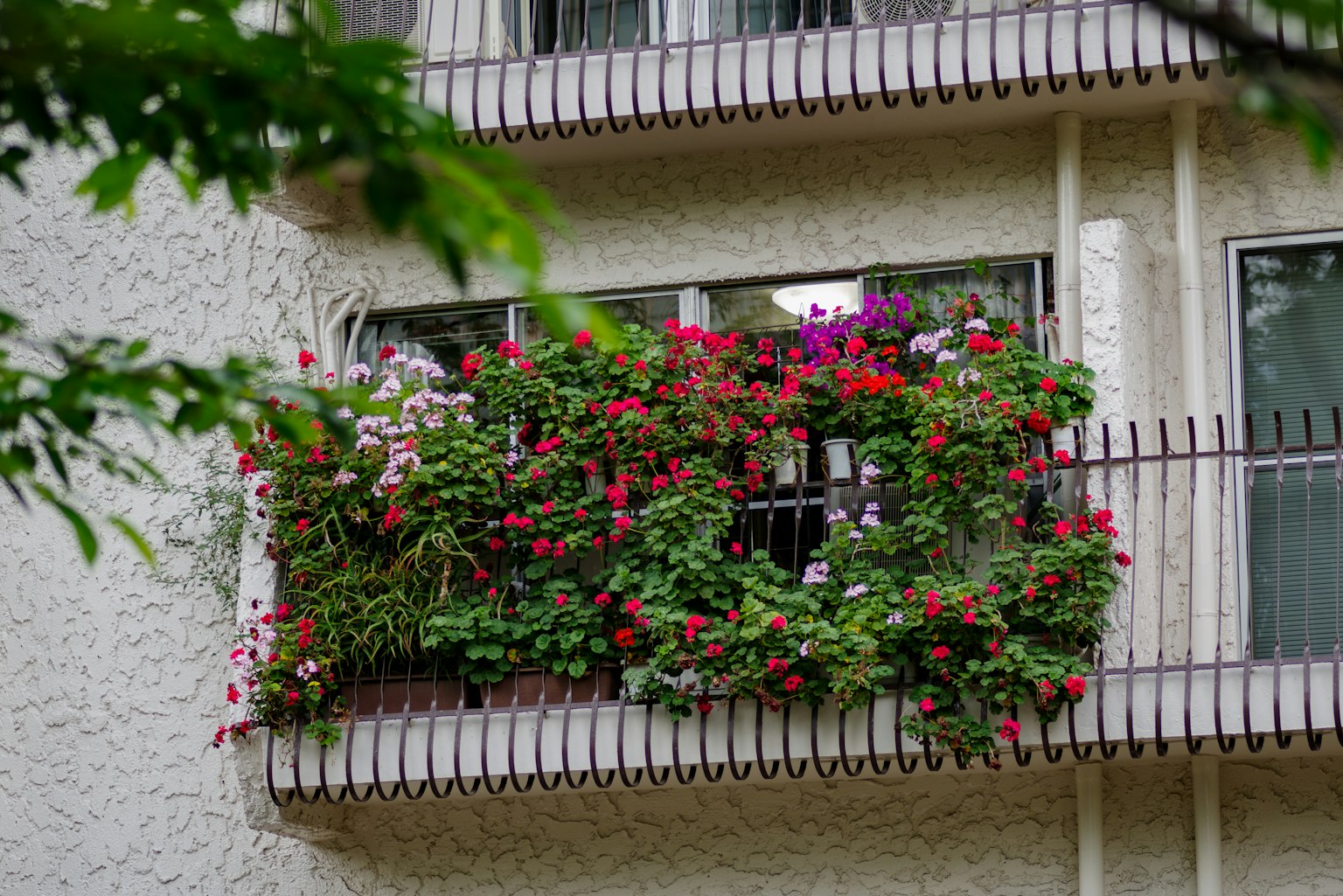 Balcone fiorito colorato su un edificio