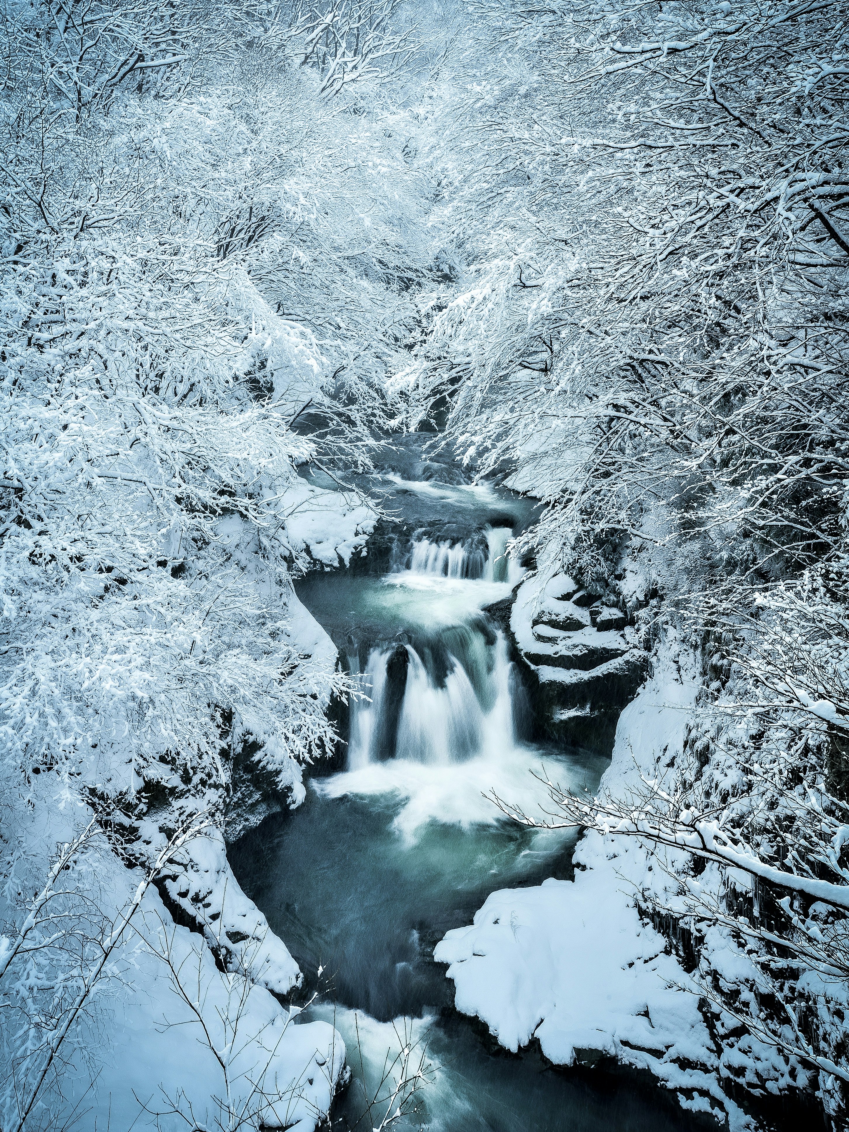 ruisseau et petite cascade couverts de neige