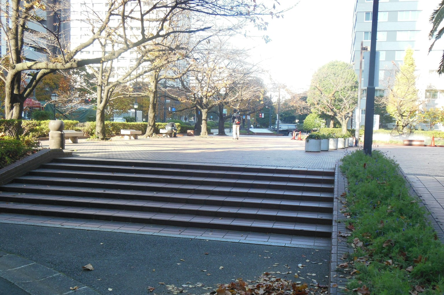 Escena tranquila del parque con escaleras de piedra y árboles circundantes