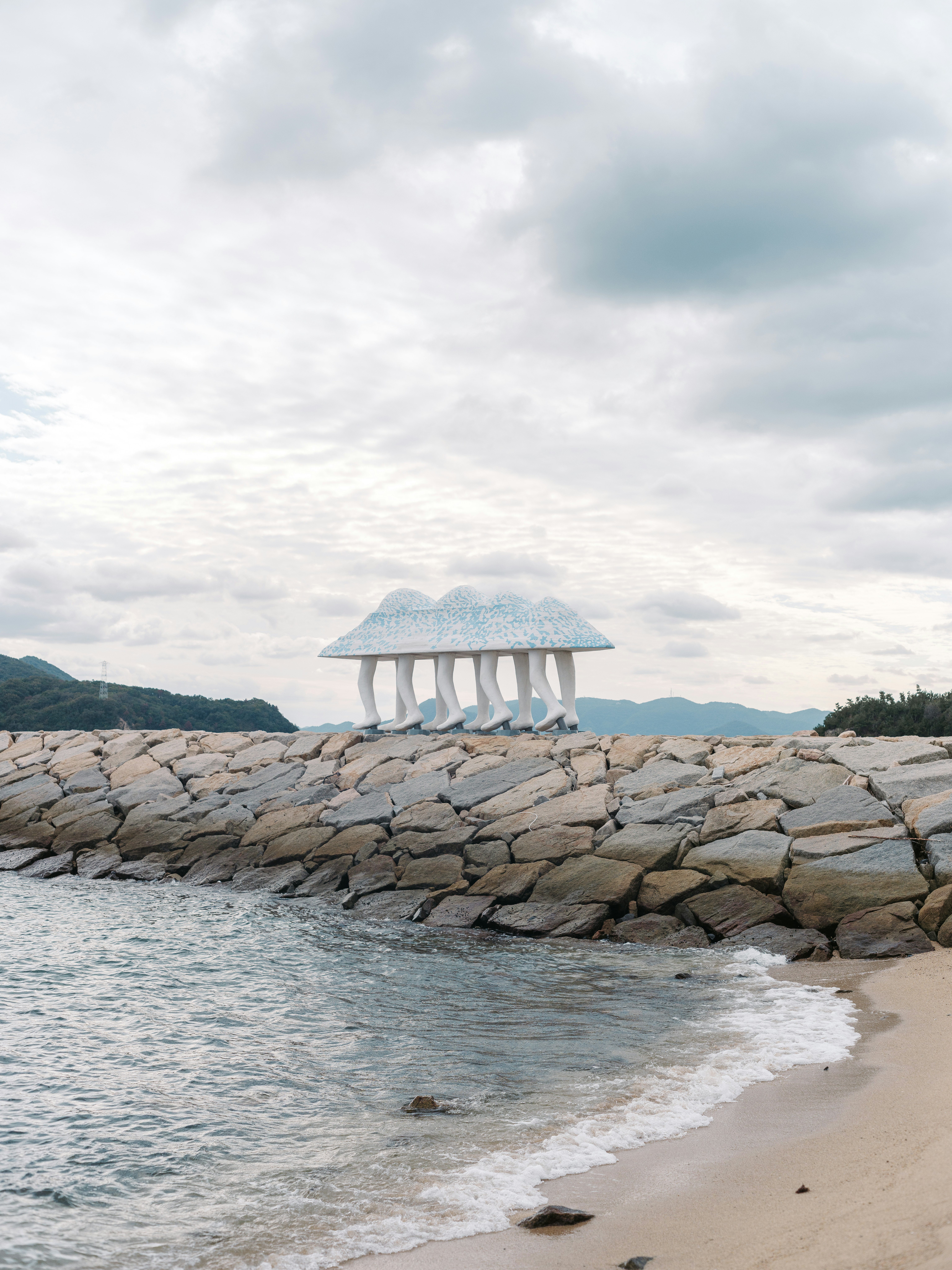 ชานชมสีขาวบนเขื่อนหินริมชายหาด