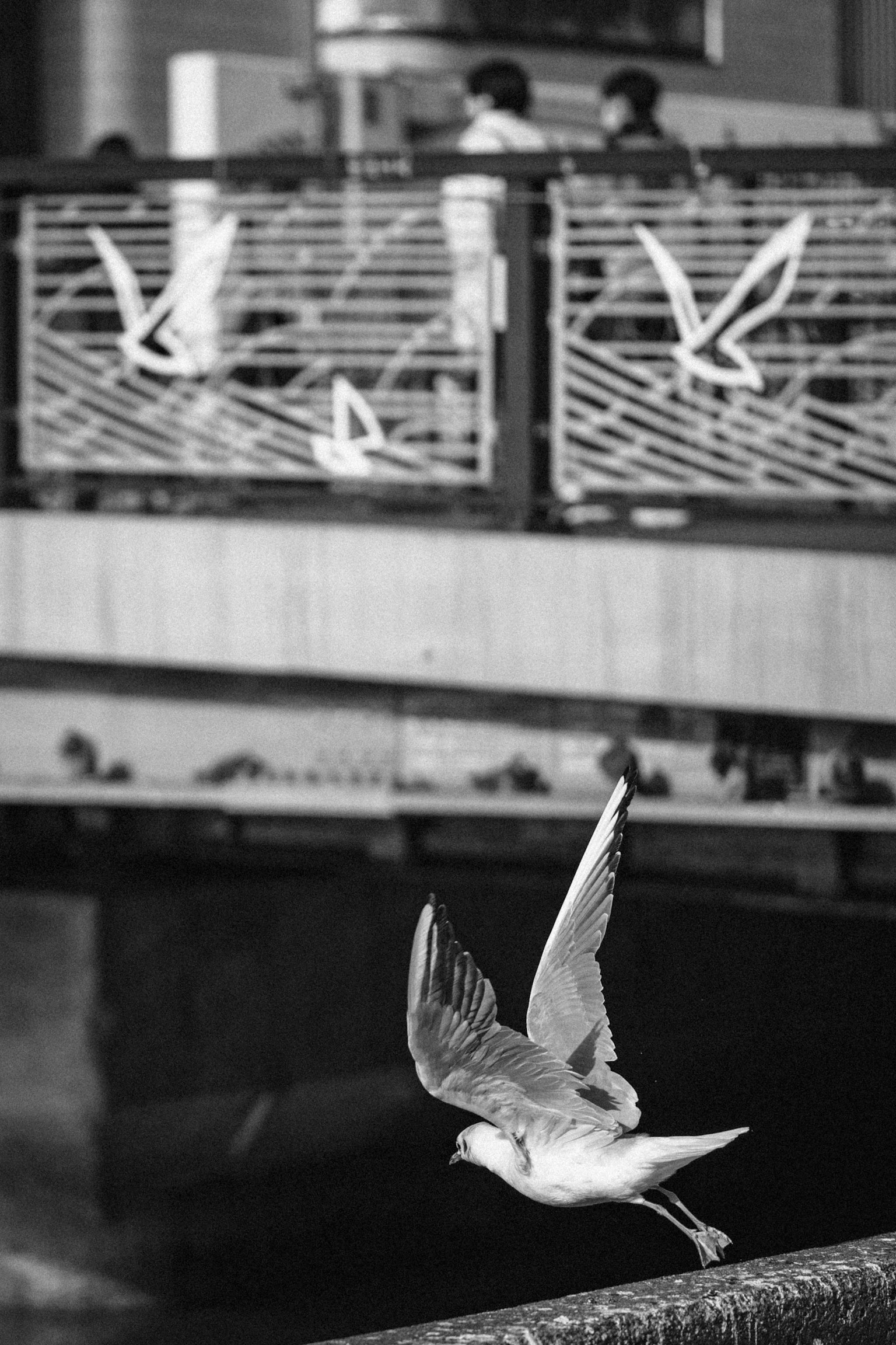 Imagen en blanco y negro de una paloma blanca volando con personas en un puente al fondo