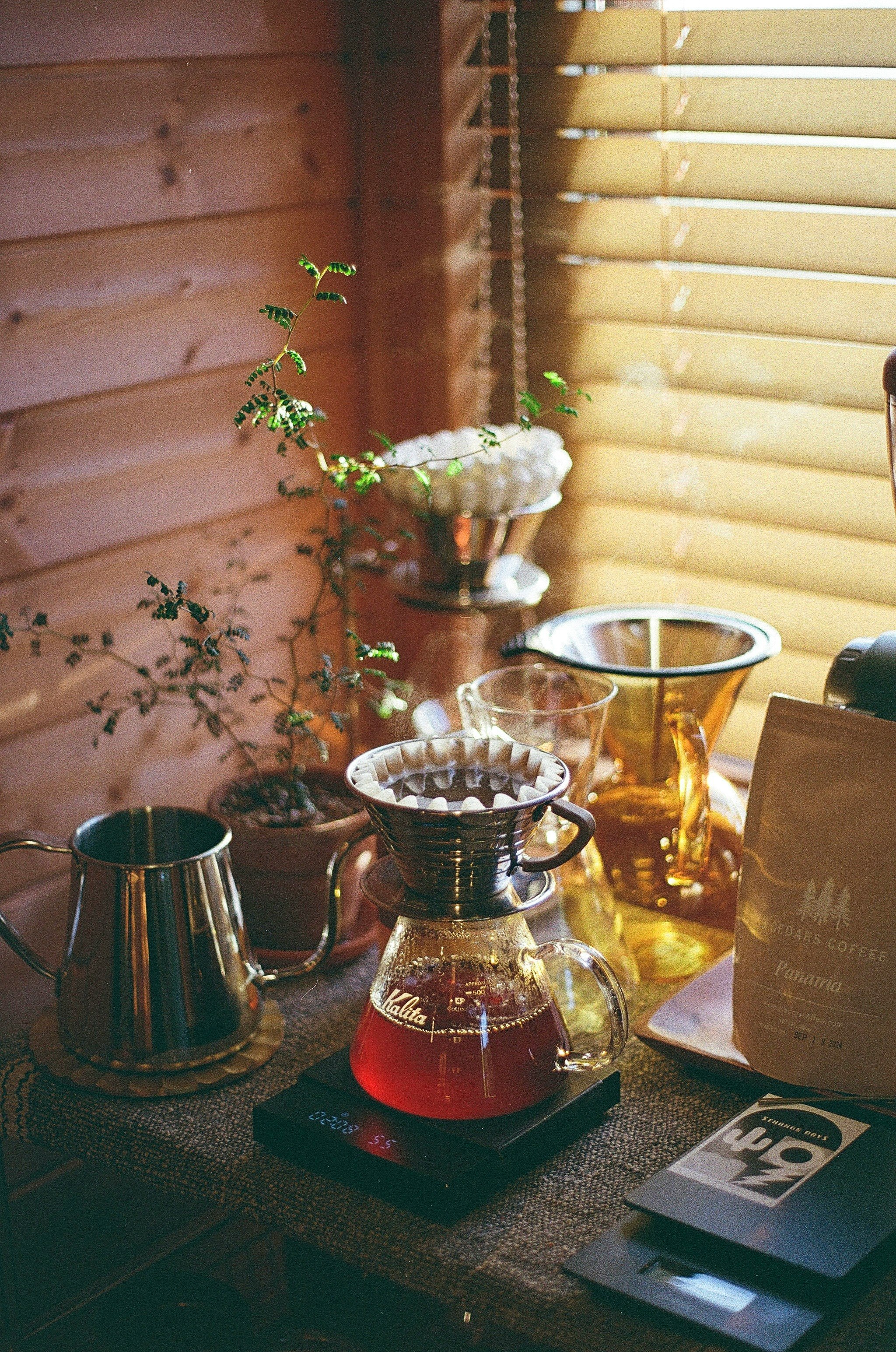 Table intérieure avec verrerie en verre et herbes près d’un store