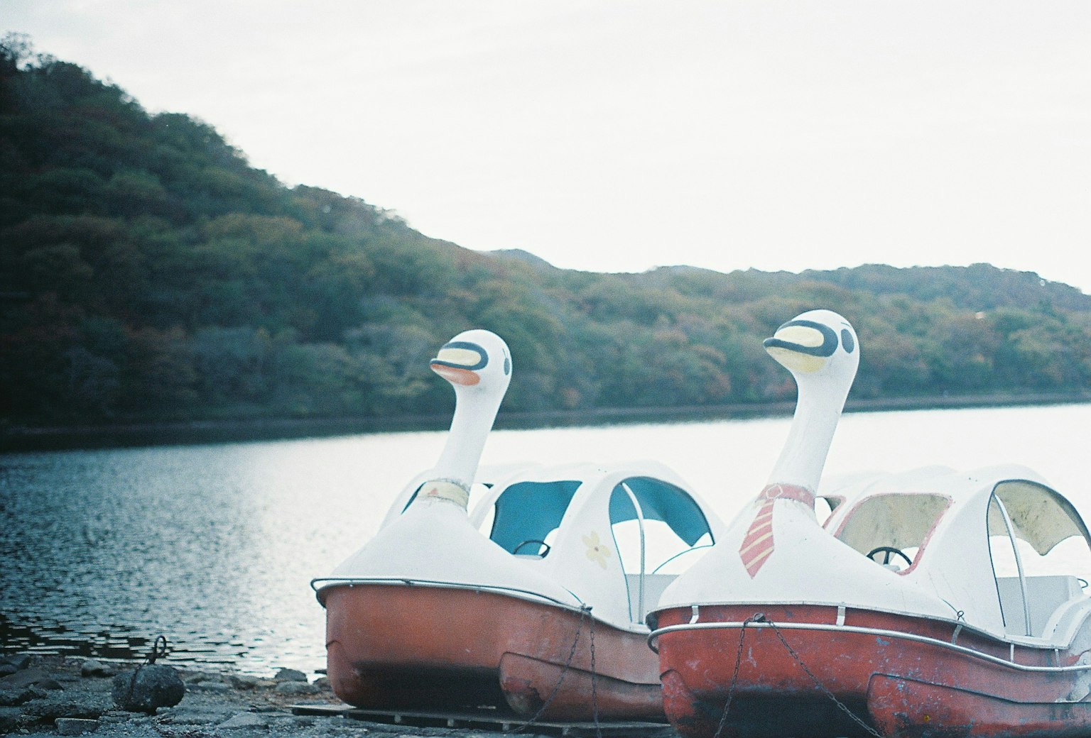 Due barche a forma di cigno ormeggiate vicino a un lago
