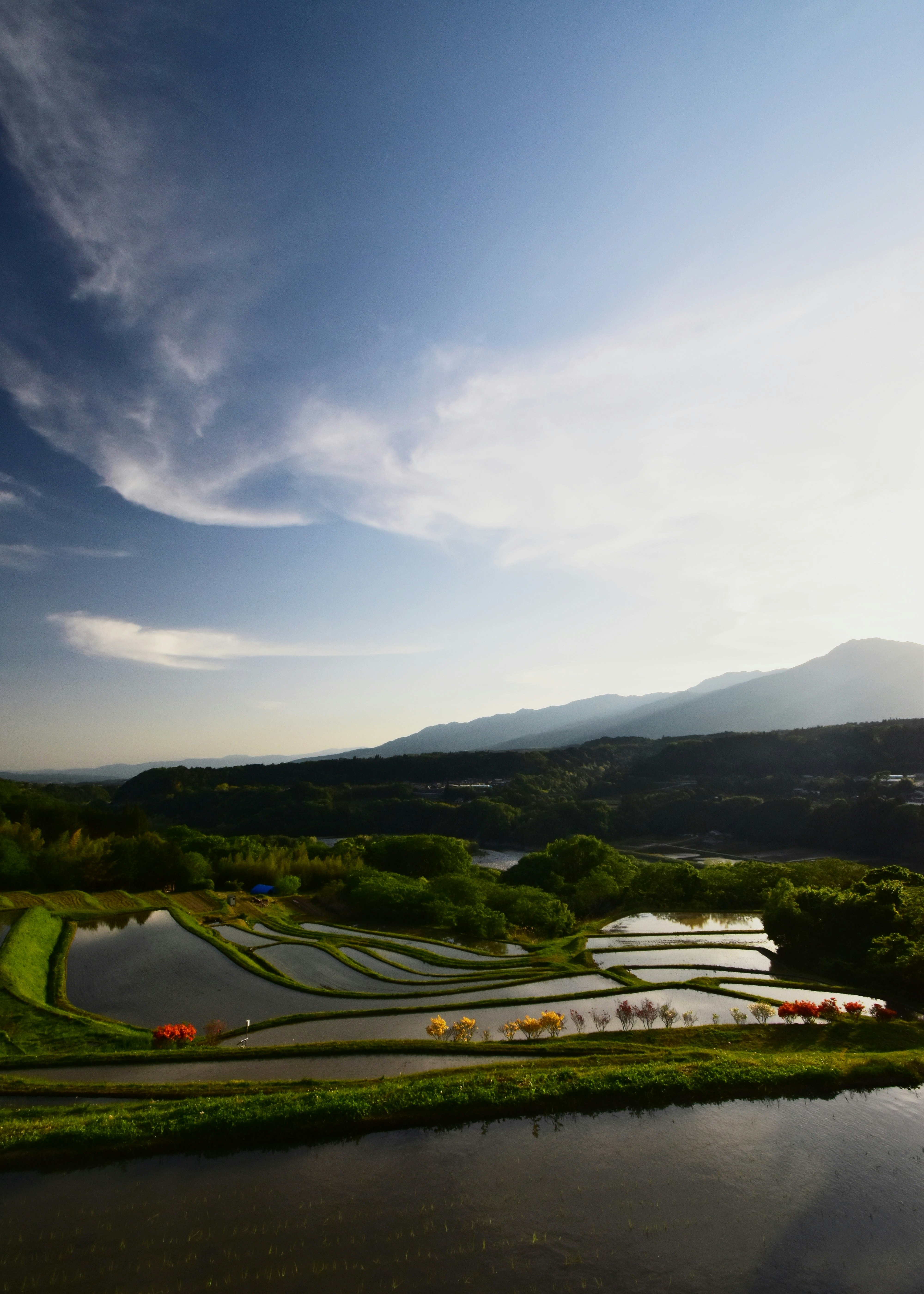 長野中川村的梯田與群山剪影，傍晚天空