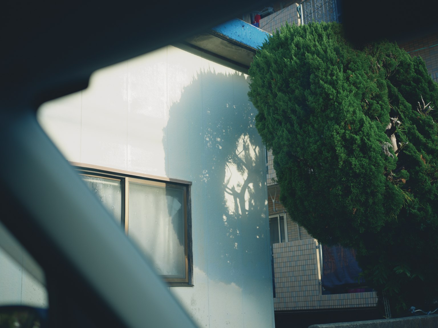 White wall and tree shadow seen through a car window