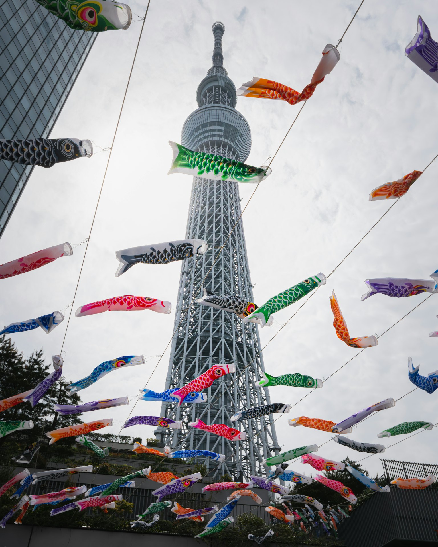 Tokyo Skytree avec des décorations de koi nobori colorés