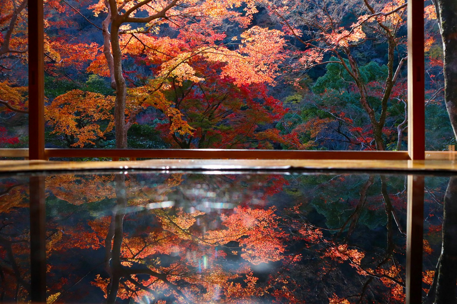 寧靜室內池塘中反射的生動秋葉風景