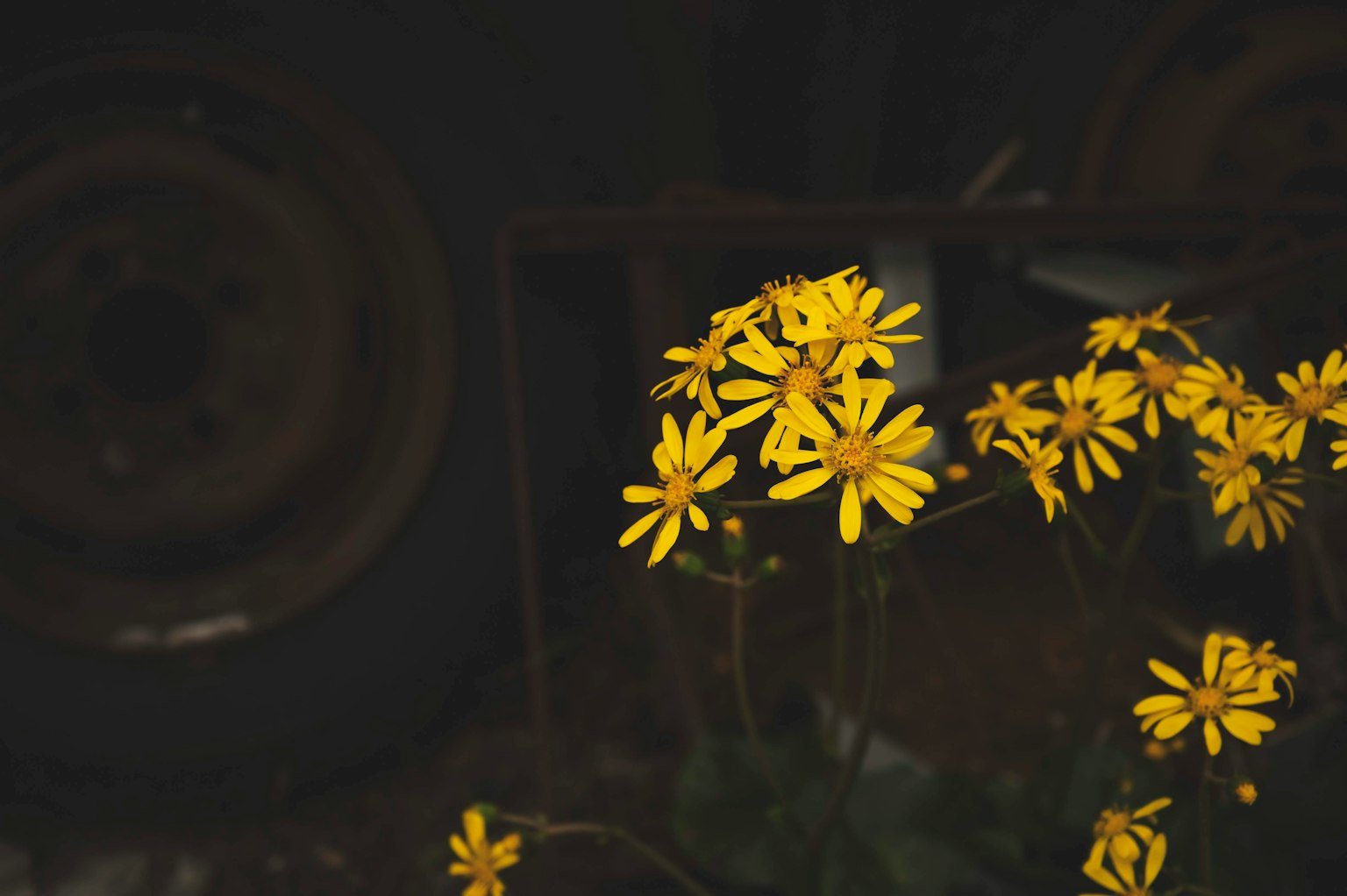 photo-nCLVYnOycdpcqGd2Vf4H-image