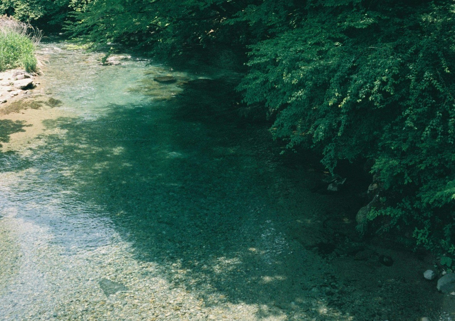 緑の森に沿う川の流れのある渓流風景