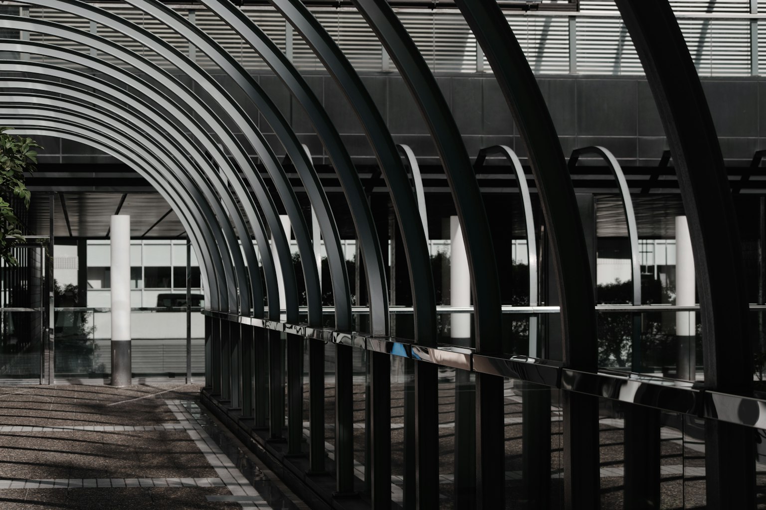 Image d'un passage couvert moderne avec des éléments architecturaux courbés