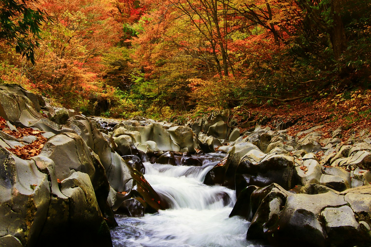 Ein ruhiger Bach, der durch buntes Herbstlaub und Felsen fließt