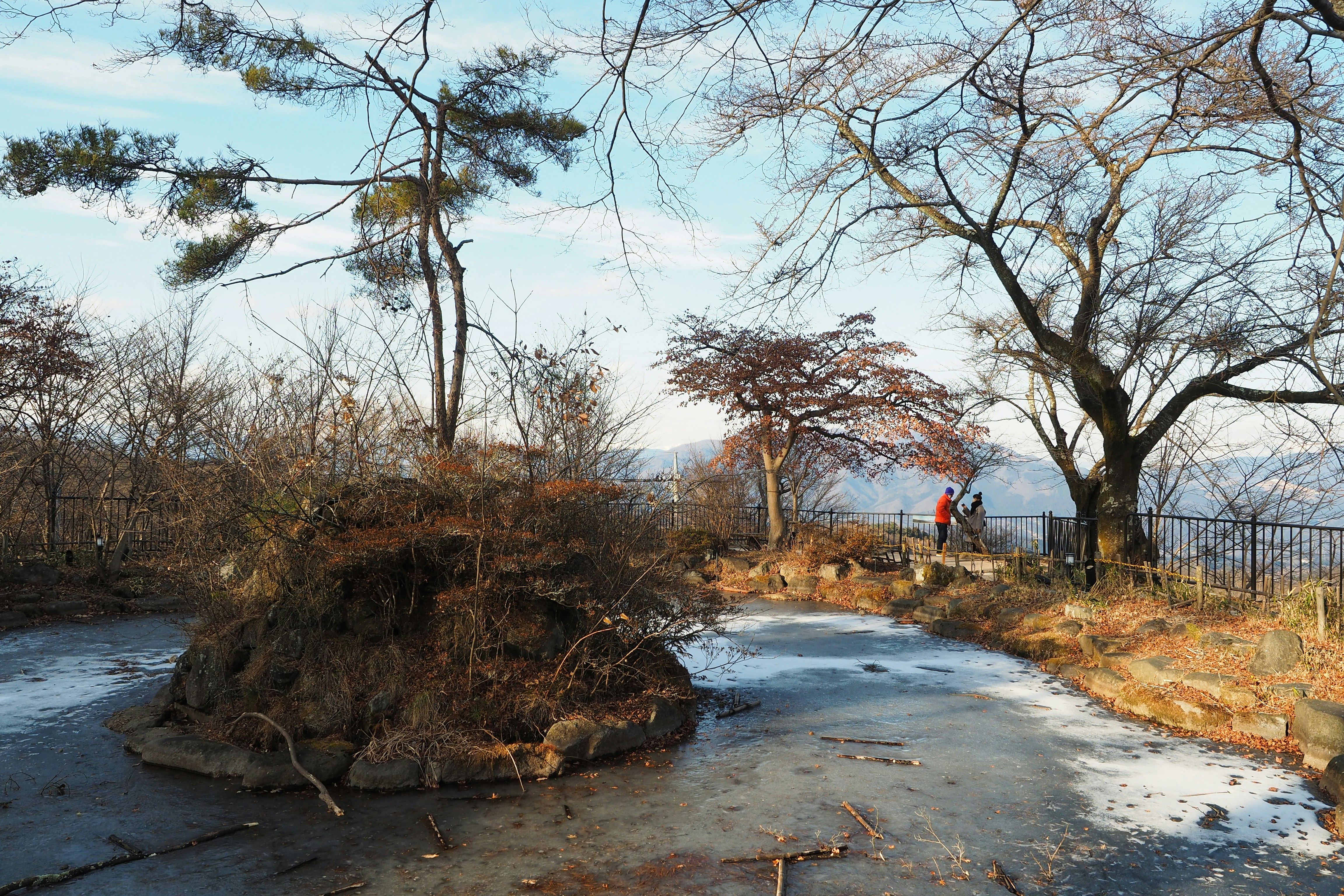 凍った池のほとりの雪と枯れ草の風景