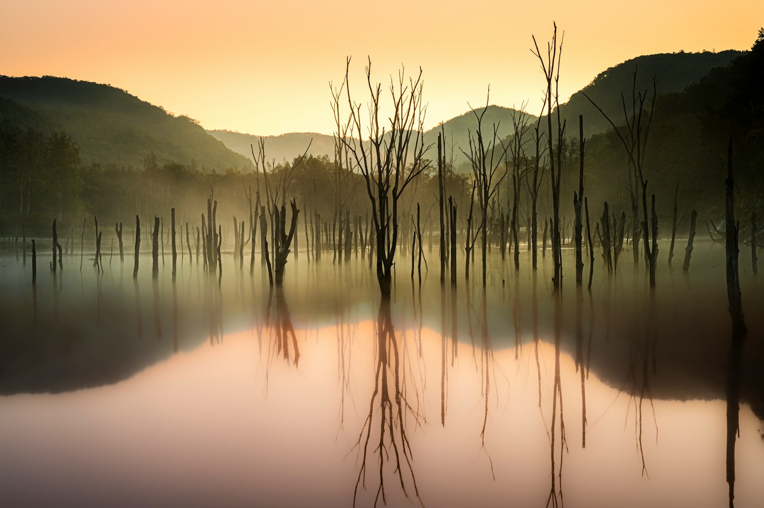 Paisaje sereno de un lago con árboles muertos y montañas reflejadas en el agua