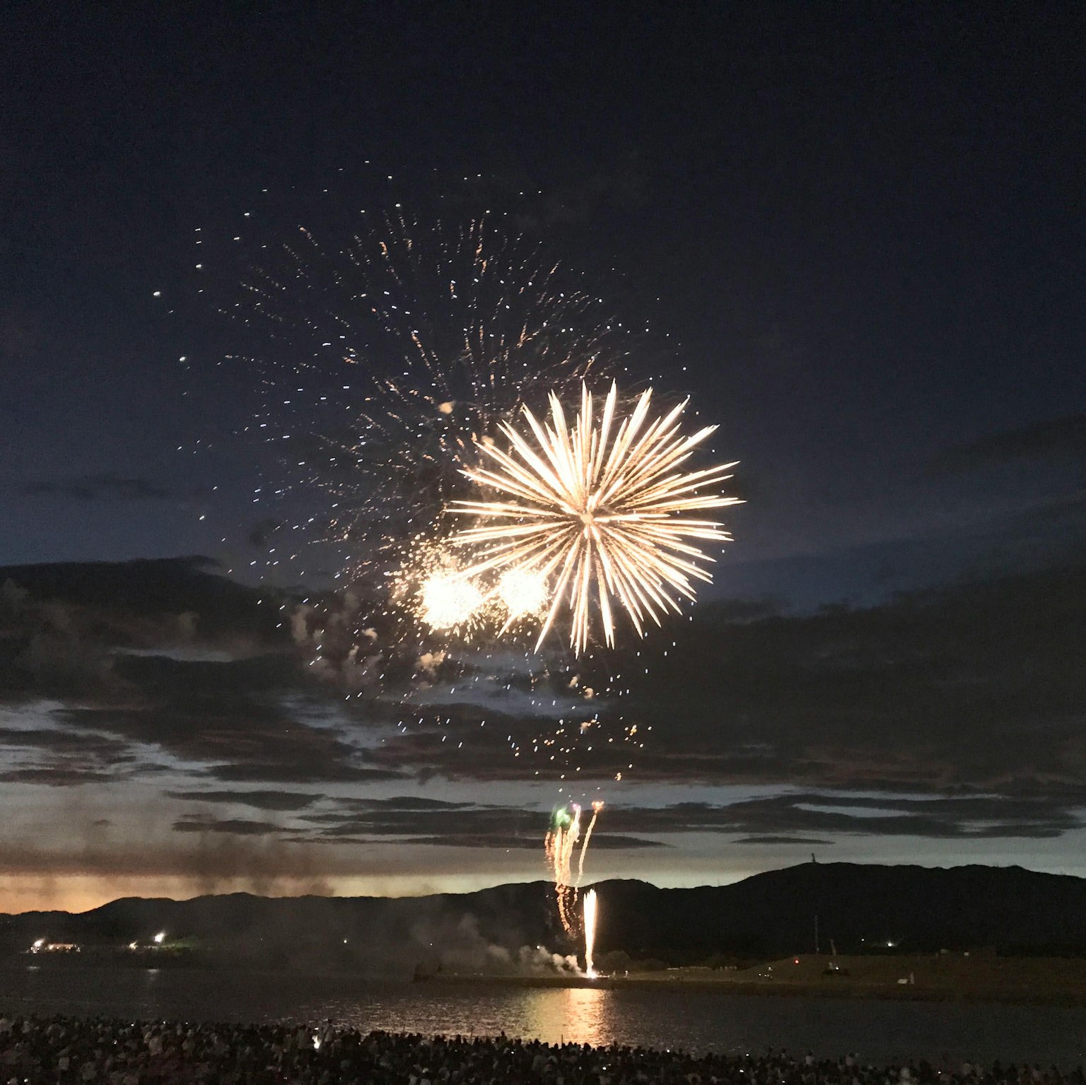 Hermoso espectáculo de fuegos artificiales en el cielo nocturno con espectadores
