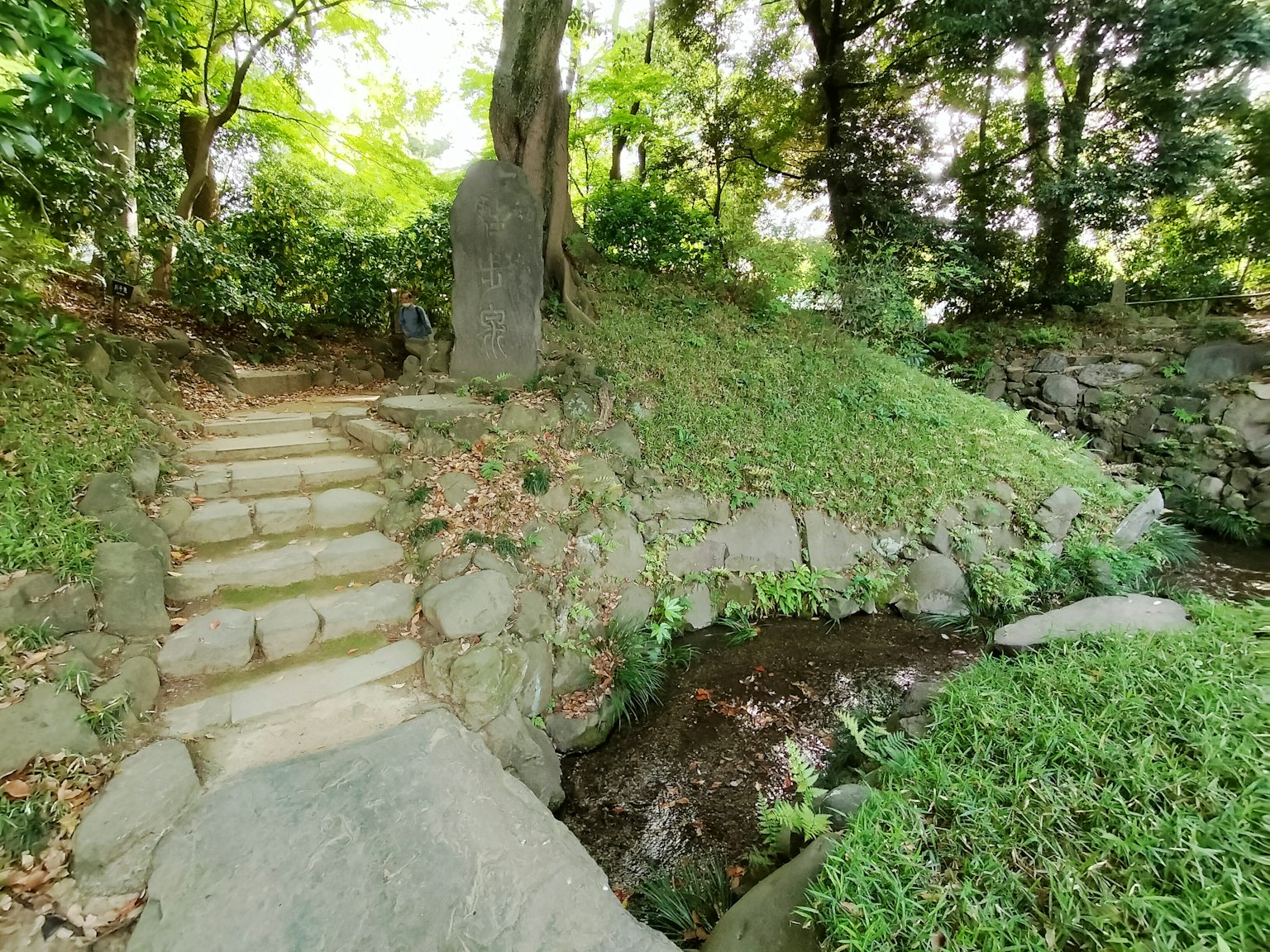 푸른 녹지와 돌계단이 있는 고요한 공원 길