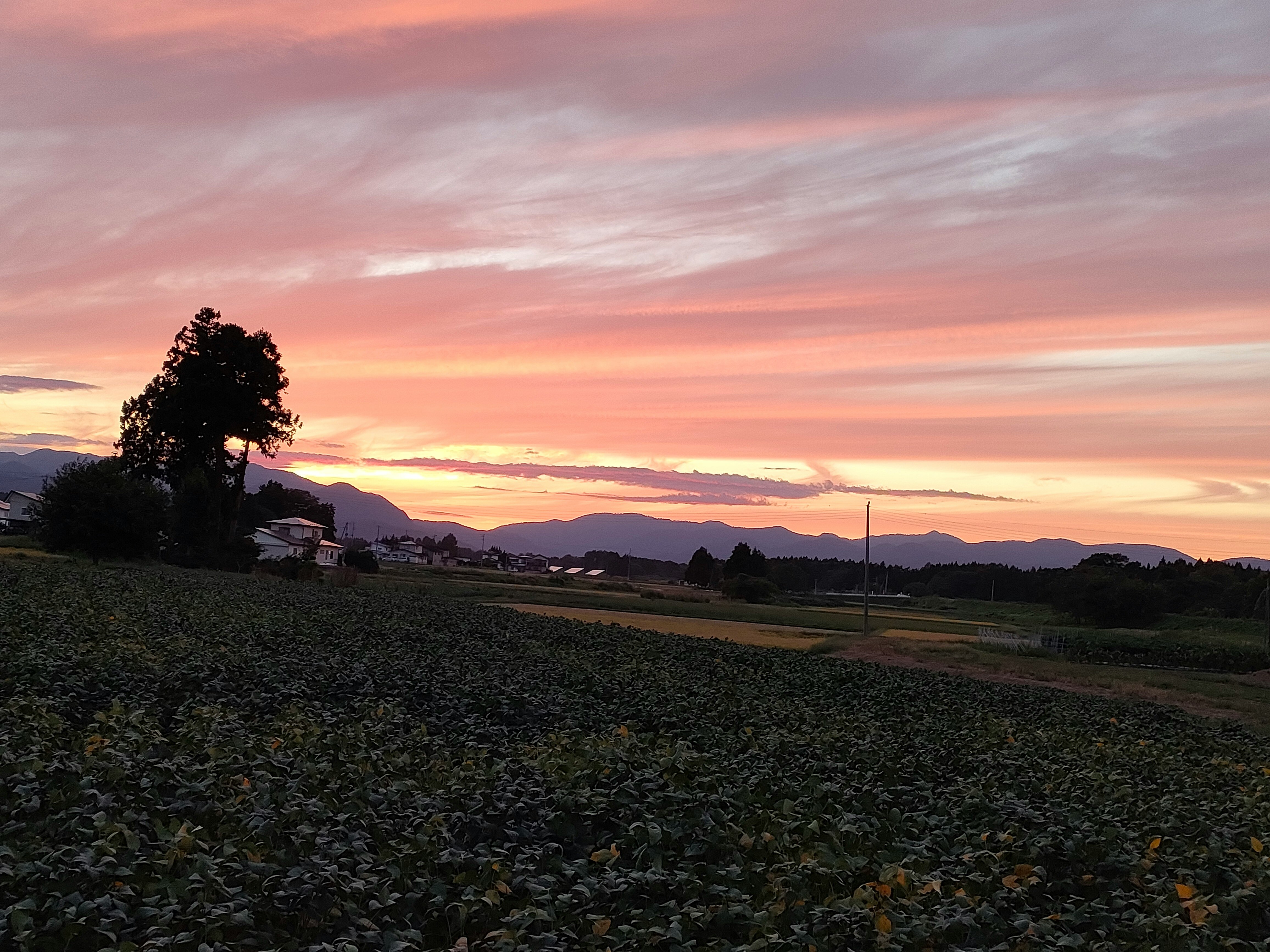 夕阳天空下的乡村田野风景