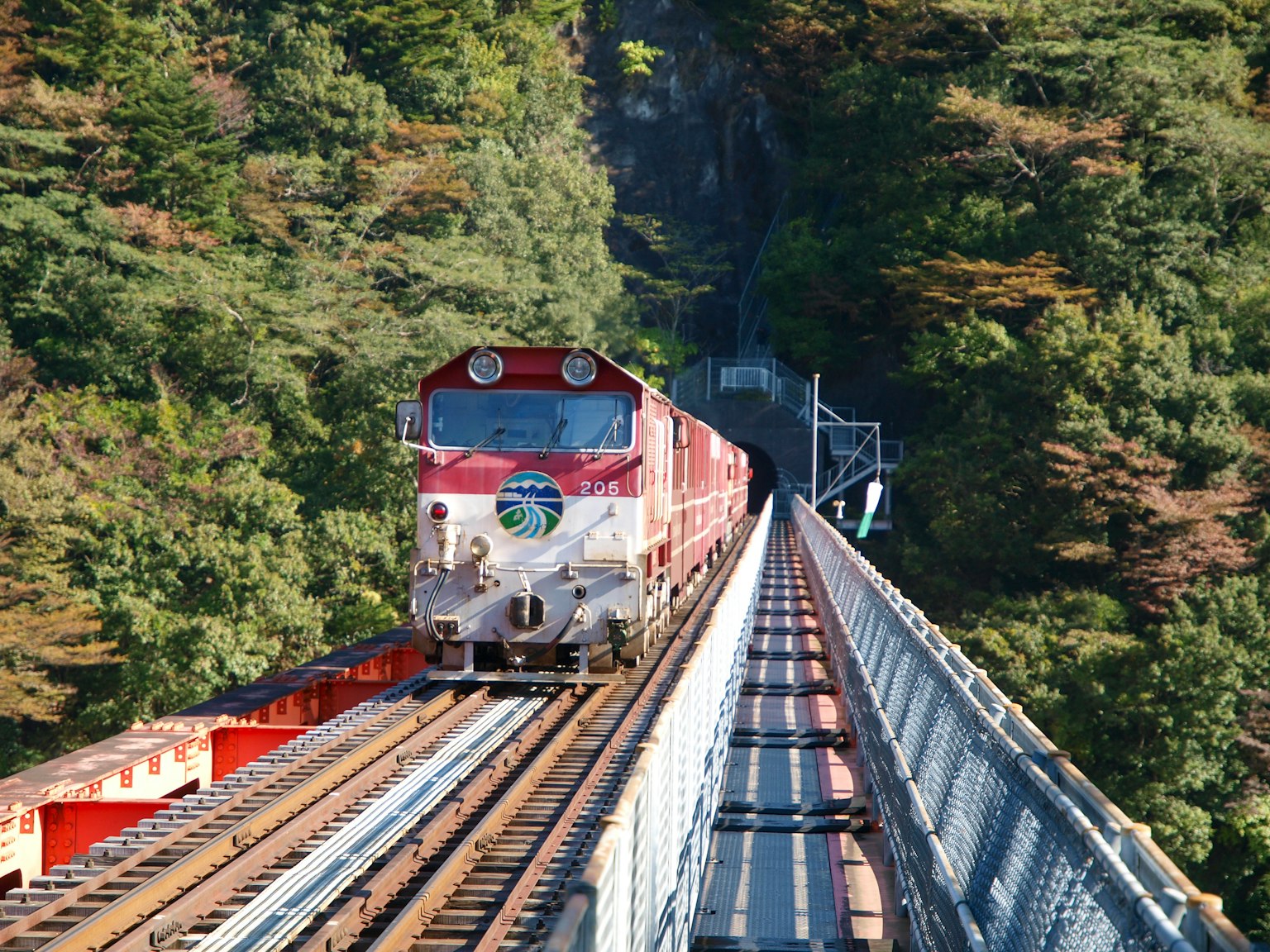 Train rouge circulant sur un pont entouré d'arbres verts