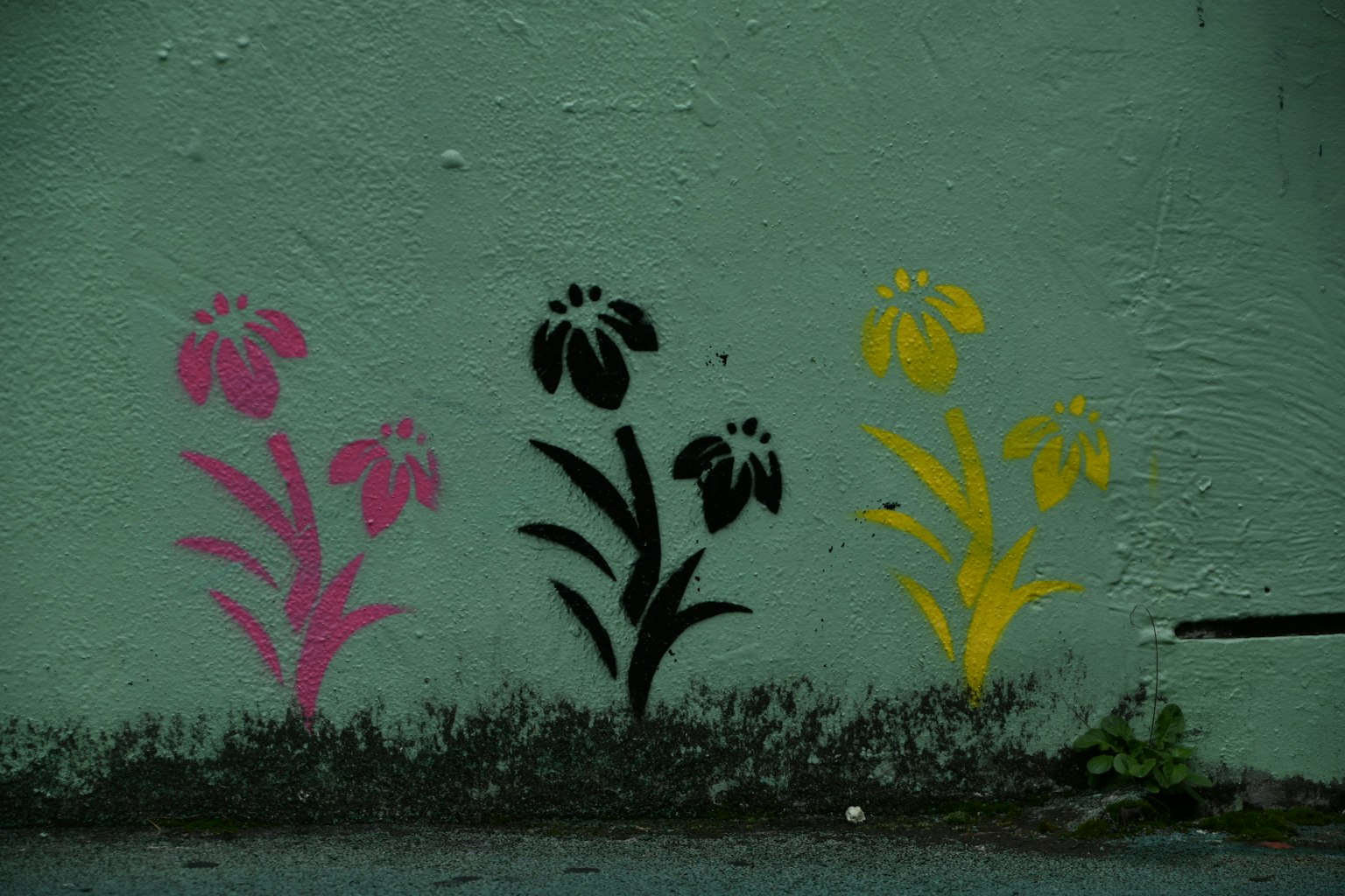 Art de spray de fleurs colorées sur un mur avec des fleurs roses et jaunes et des tiges noires