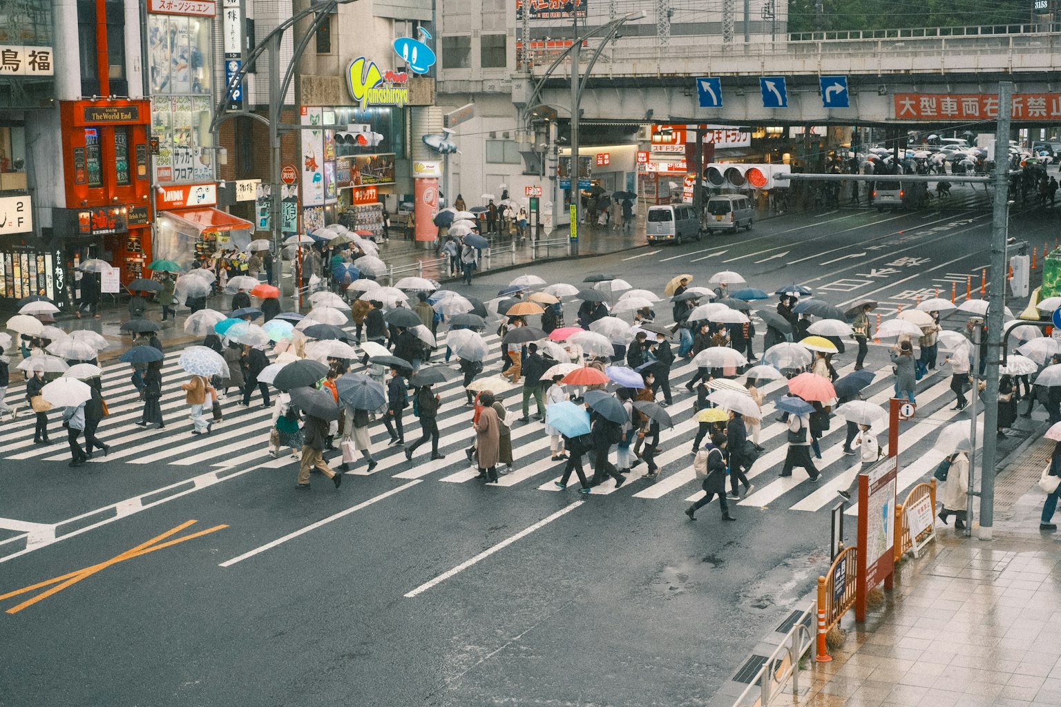 Đám đông người băng qua đường với ô trong môi trường đô thị đông đúc