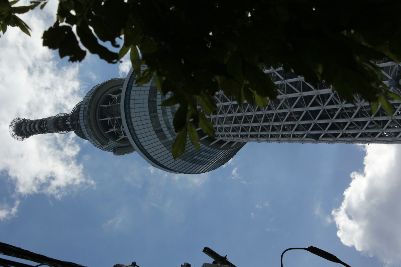 Luftaufnahme des Tokyo Skytree umgeben von grünen Blättern und blauem Himmel