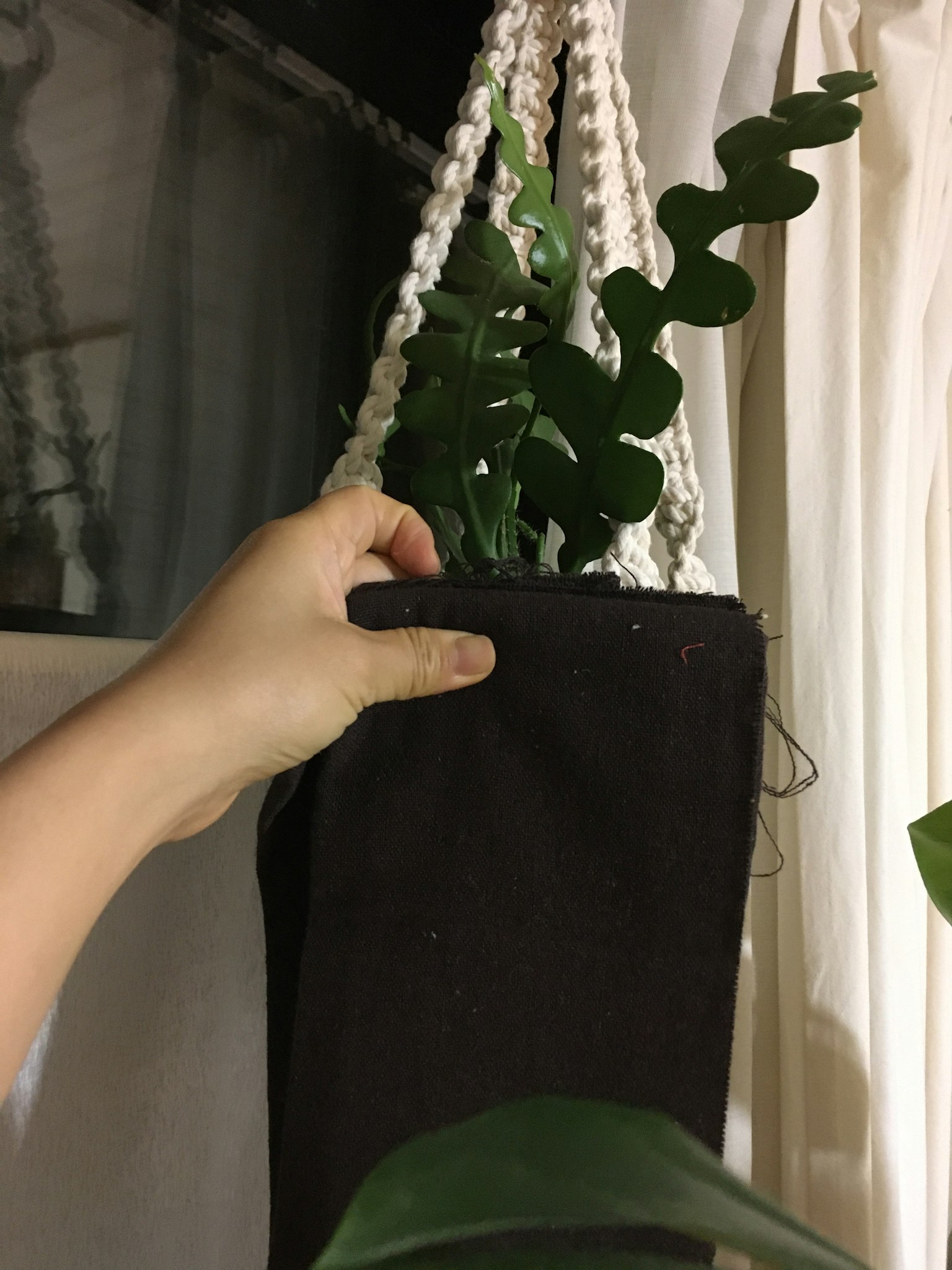 手持懸掛花盆和綠色植物的圖像