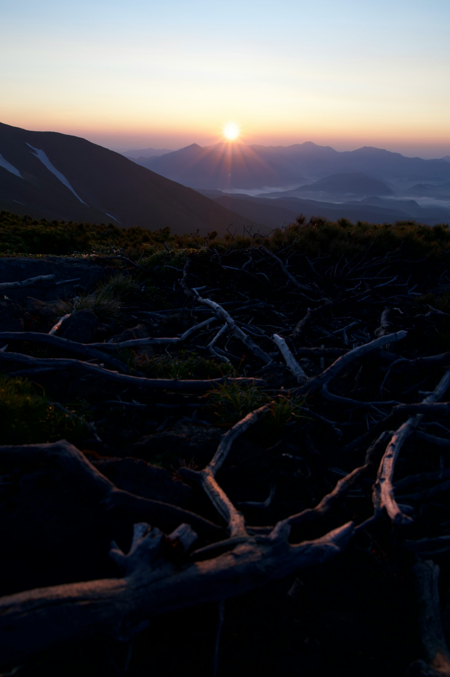 Alba sulle montagne con radici di alberi esposte in primo piano
