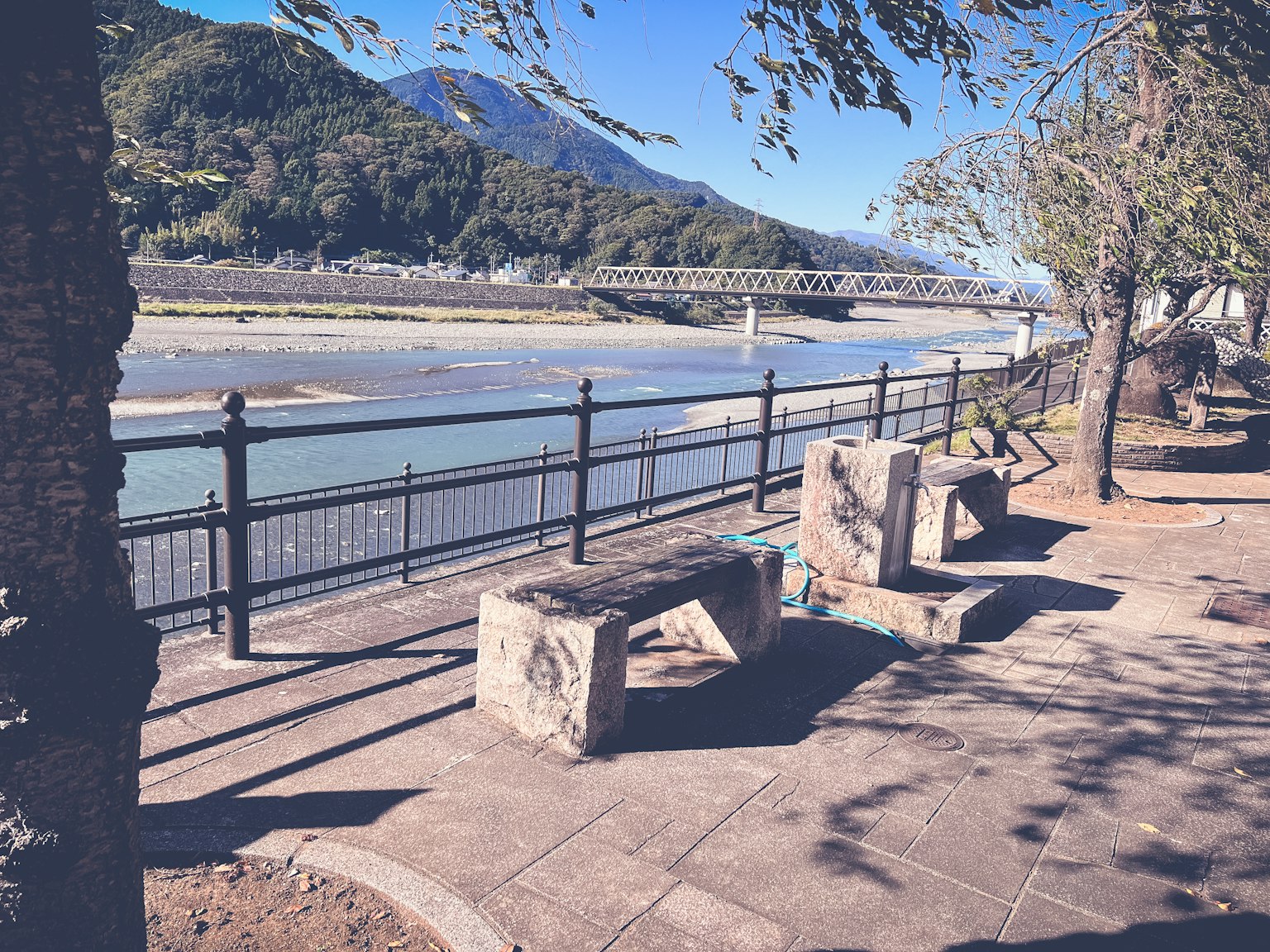 河边长椅和树木的风景