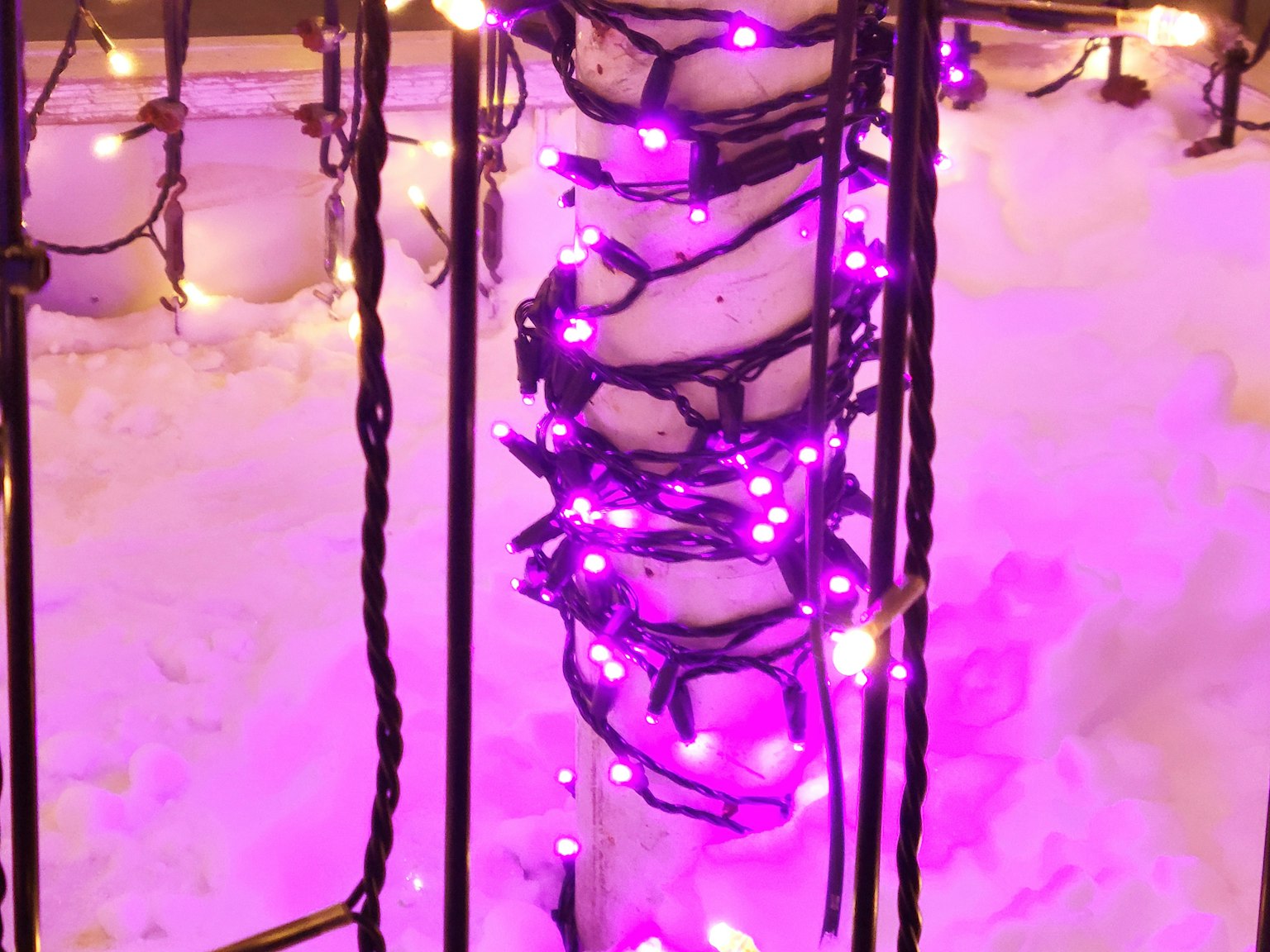 树干缠绕紫色灯光在雪上