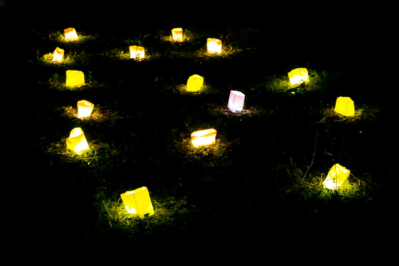 Bright yellow and purple glowing objects scattered in a dark background