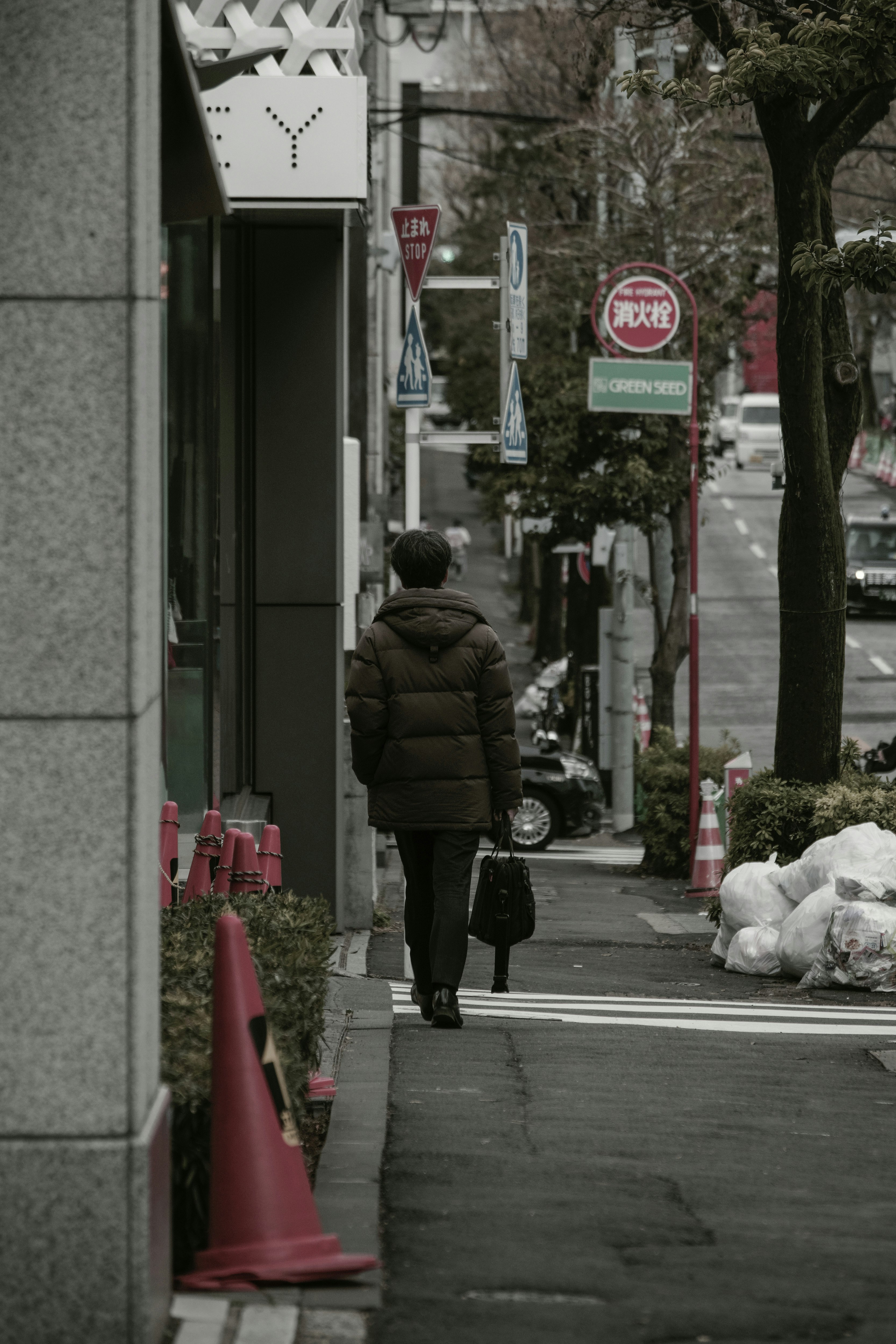 表参道から続く南青山の街路で歩く人のある風景