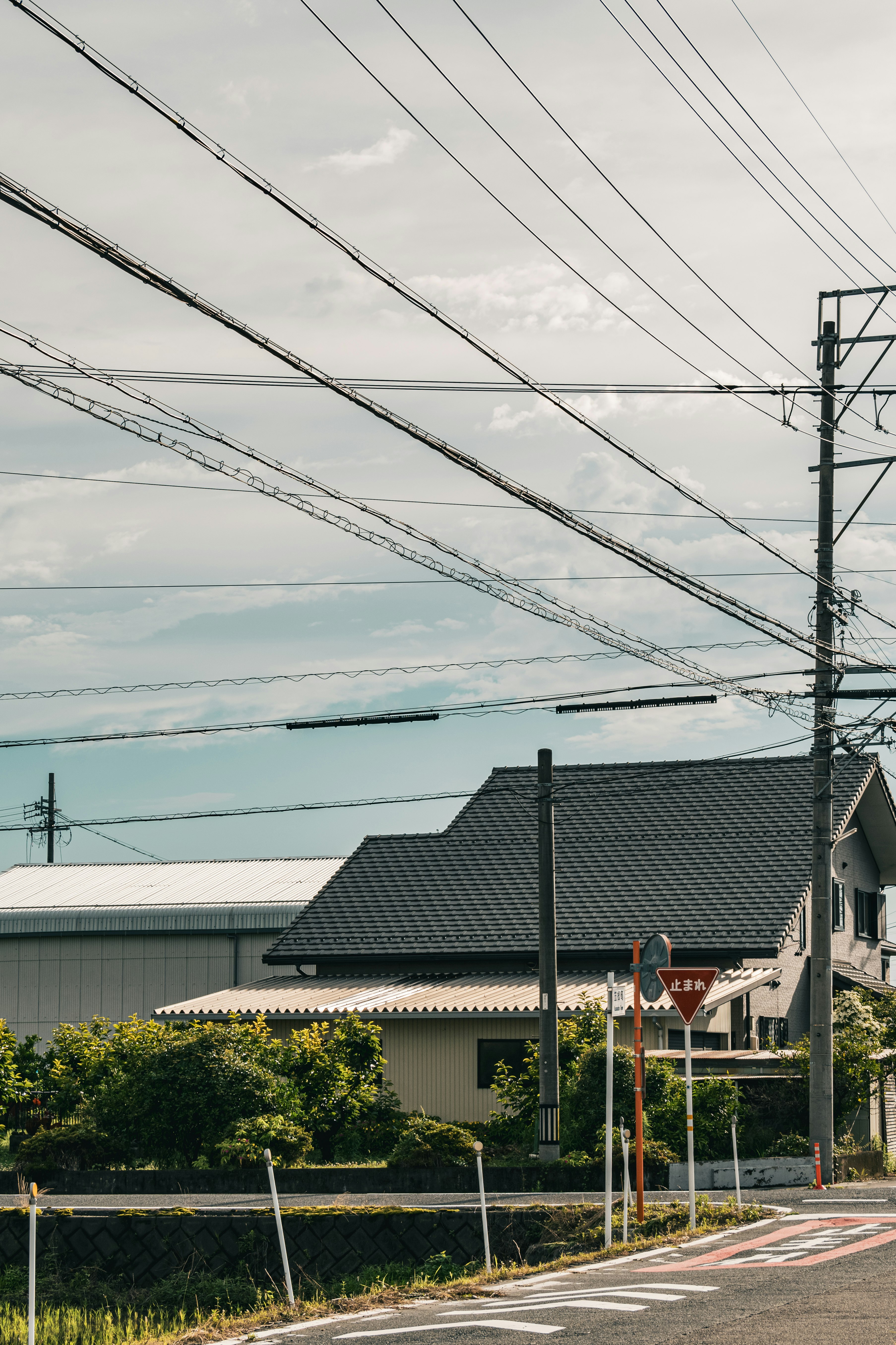 coastal residential street with overhead power lines