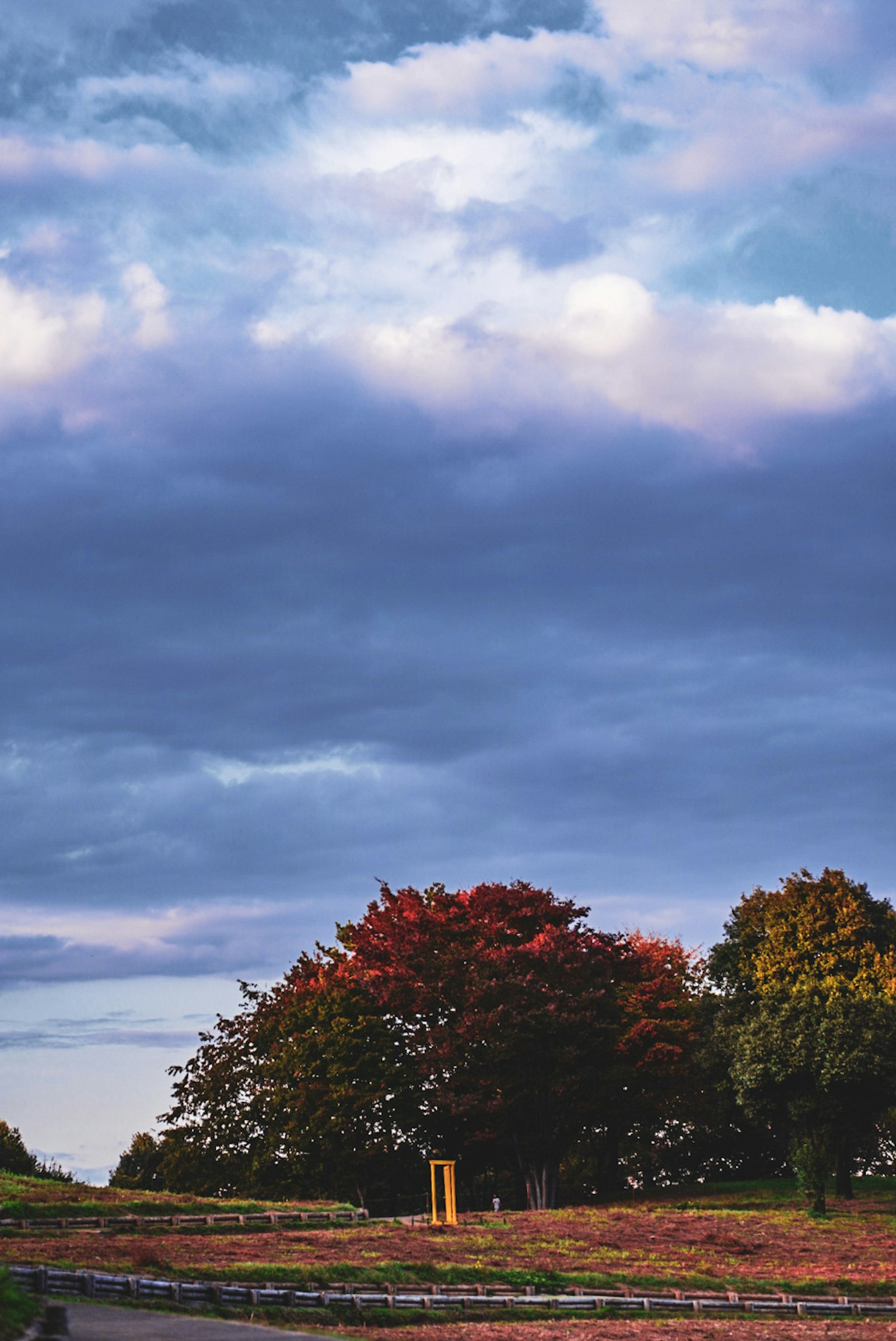 Paysage avec des arbres aux couleurs d'automne et un ciel bleu